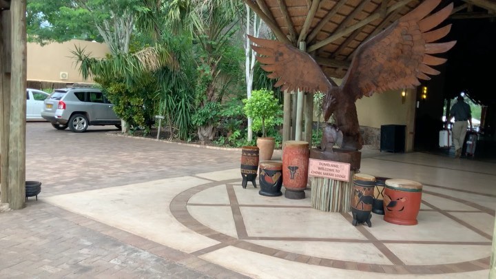 Kasanéééééééééééé. Animaaaaaallllsssss #riodejaneiro #joiedevivre #amitié #favela #elenao
#lyon #progres #beauté #population #christ #redemption #jeanpaulbelmondo
#beaute #samba #carioca #beaute #carnaval #christ #redemption #corcovado
#enfant #favelas #tuerie #dieux #deus #amour #love #belmondo
#gang @faveladopaulinho #livre #enfance #belmondo #lhommederio.fr