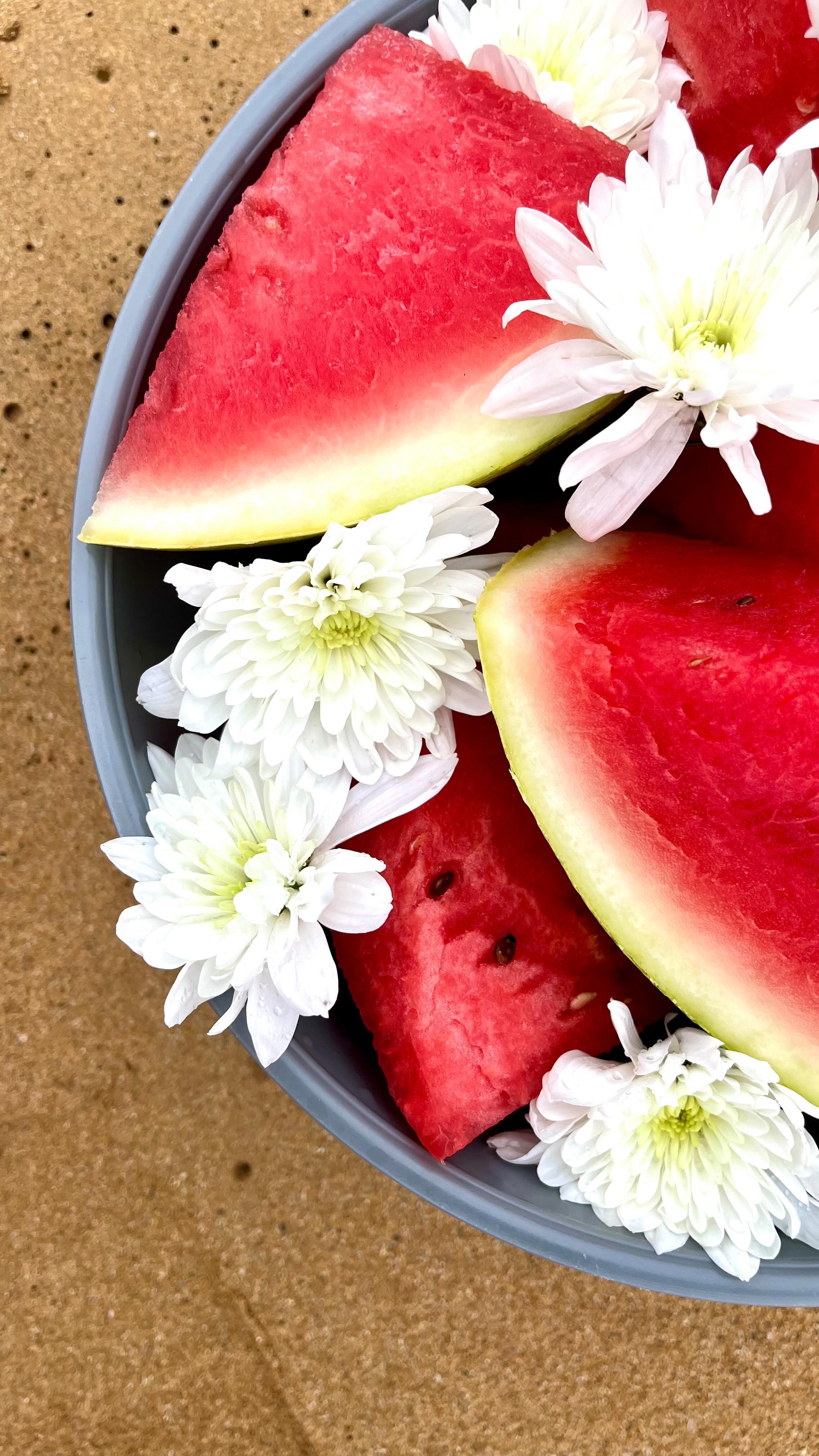 in january 2023, 7 women began a 9-month rites of passage + initiation journey into the depths of womanhood, to remember and reclaim the ancestral + divine power with(in) themselves. we celebrated this process with a retreat + graduation ceremony in luquillo, puerto rico. it has been an honor + my absolute pleasure to hold space for each of these women as they surrendered into the deep waters of rebirth. as we close out the 6th cohort of the mocha moon sacred circle, my heart is full of gratitude and i’m reminded yet again why i have been called to do this work.
- - - - -
the mocha moon sacred circle is a 9-month rites of passage and initiation journey that provides an opportunity to explore and develop deeper levels of your own womanhood.
the curriculum includes:
- 9 rebirth principles
- weekly moon astrology reports
- weekly lunar exercises
- monthly affirmations
- a goddess of the month exploration
- 2 monthly group calls
- monthly 1-on-1 soul sessions
- individual and group divination
- graduation ceremony and retreat invitation
we will begin the 7th round of the mocha moon sacred circle in january 2024. if you are ready + committed to embarking on a journey of both personal + spiritual development, see the link in our bio for more info. pre-natal support is available before then as well. ✨