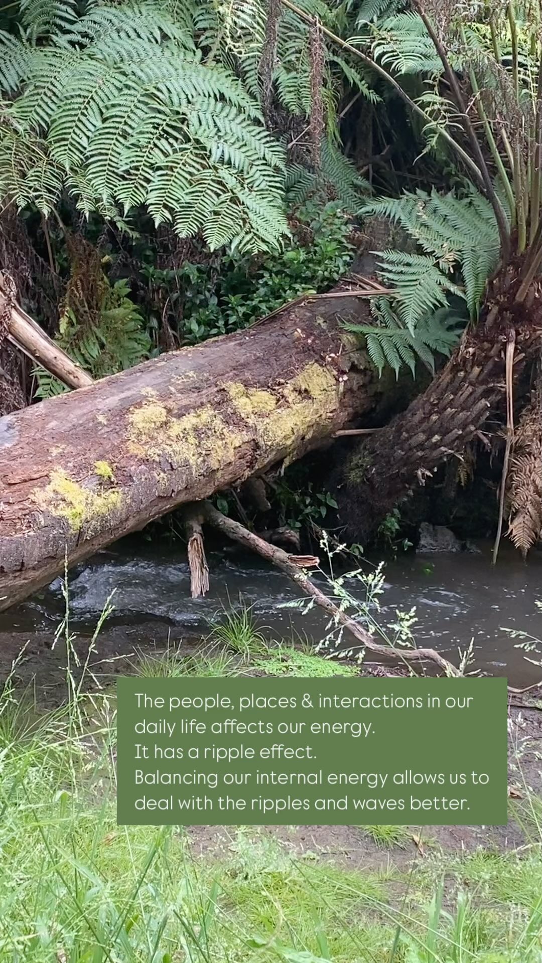 Balance your internal energy, your Chakras, with a cup of SpiritualiTEA.
#chakratea #spiritualitea #energy #chakras #internalenergy #balanceyourchakraswithherbaltea #organictea #melbourne #naturopath #tea #healinginateacup #herbaltea #lovetea