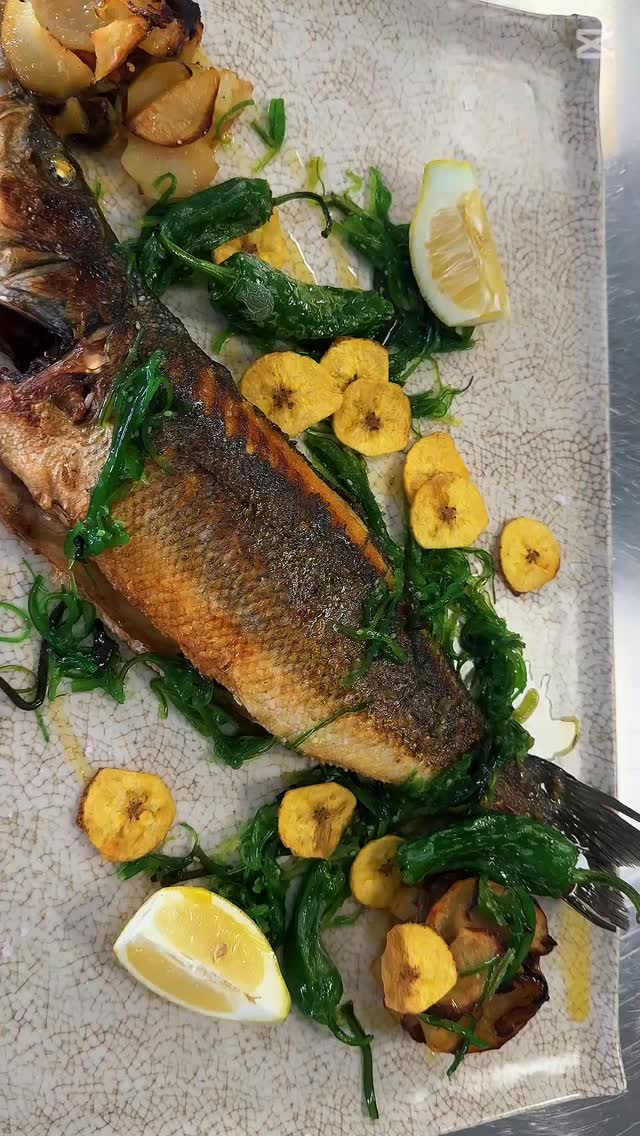 El crujir de la sal, el perfume del marisco fresco, el sabor intenso del arroz hecho con mimo.
Esto no es solo un restaurante, es una experiencia para los sentidos. 🌊✨
#coralbeach #lesbassetes #restaurante #clubnautico #benissa #calpe #playa #coctails #foodie