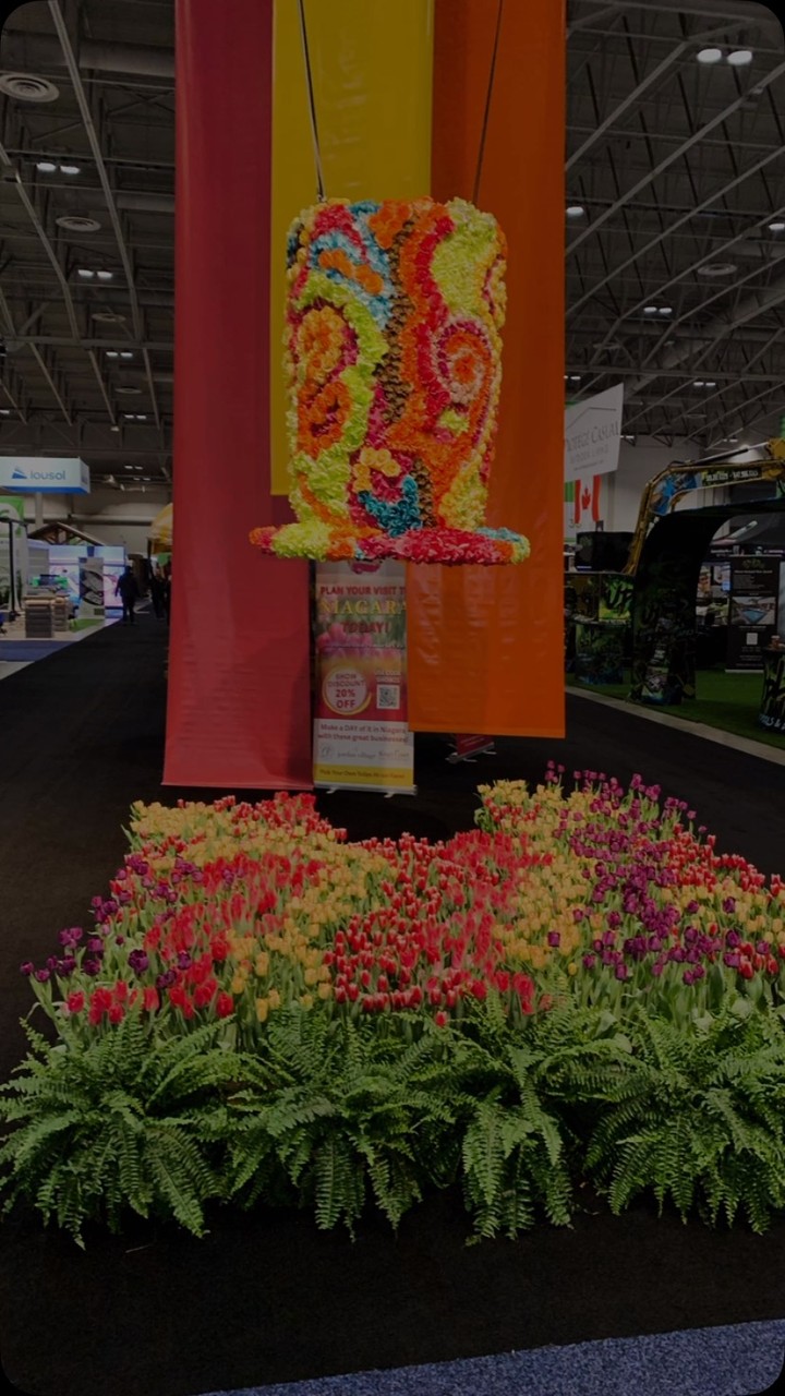 Thank you so much everyone who showed up @homeshowsto and big thanks for the everyone who helped out on this amazing event 🫶 #globalnewsmorning #ontariowood #ontariomade
#homeshows #torontolife #toronto #enercarecentretoronto #nationalhomeshow #ontario #canada #falconswoodwork