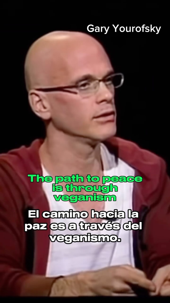 The path to peace is through veganism.
💚🌍
El camino hacia la paz es a través del veganismo.
——
@therealgaryyourofsky One of the most important animal rights activist of all times. Check his famous speech on YouTube or on the link in our bio.
⚠️🎥
Gary Yourofsky, unofficial de los activistas por los derechos de los animales más importantes de todos los tiempo. Ve su famoso discurso en YouTube o en el enlce de nuestro perfil.
Video by @iamtheanimal
Subtítulos en español por @magicoflife.es
#veganism #peace #jus