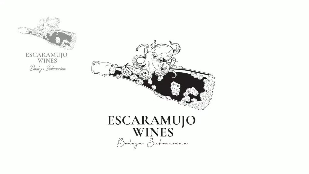 This is more than just a wine tasting; it's an unforgettable journey! Book your Escaramujo Wines experience today!
.
.
.
#EscaramujoWines #SailingAndWine #LuxuryExperience #WineTour #PolishTraveler #BoatLife #SipSavorSail #WineLovers #SunsetSailing #TravelMore