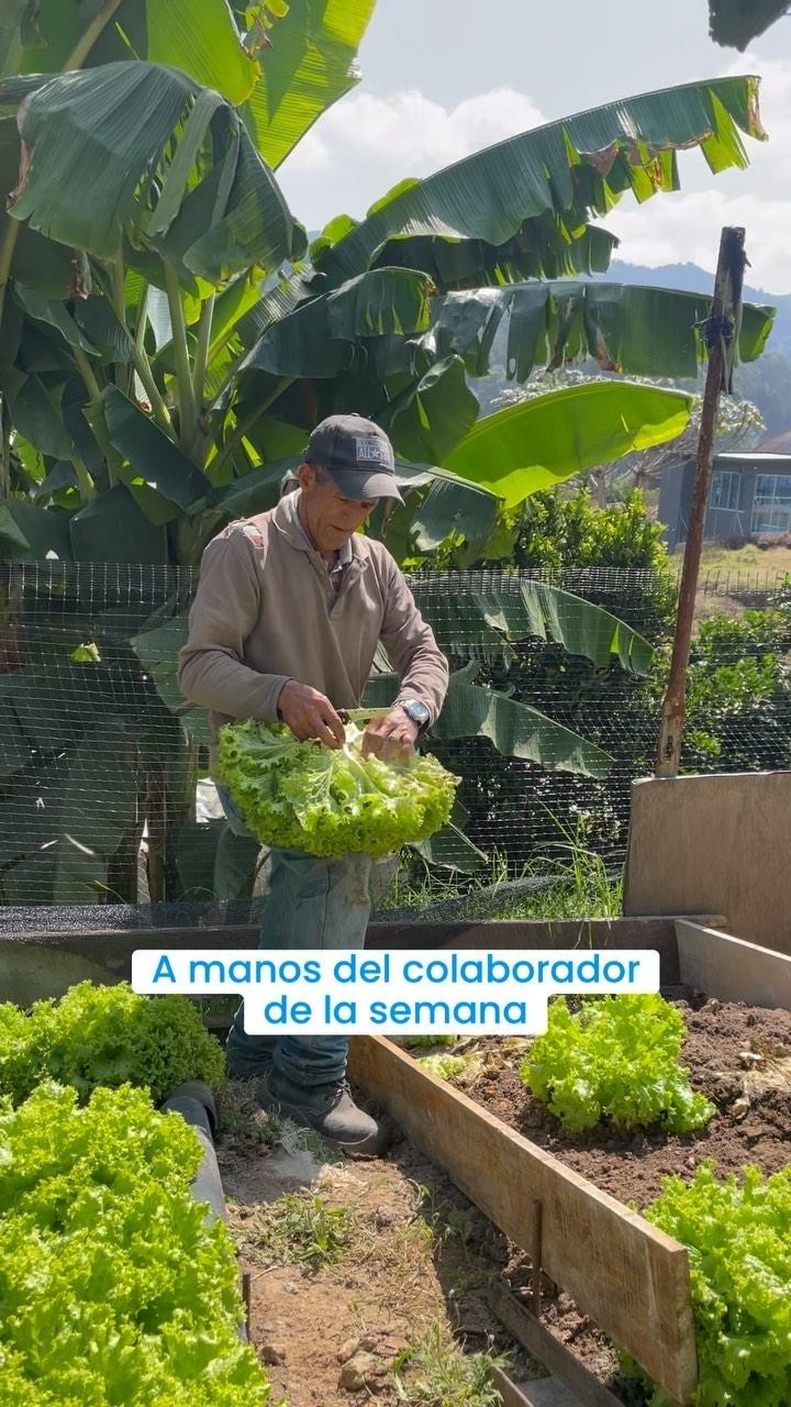 Asi se vive un dia de entrega de hortalizas en fieltrotex🫑🥬👨🏻🌾 Labor de todos para todos!
#communidadempresarial #fieltrotex #huertaparatodos #huertaempresarial #hortalizasorganicas #fieltroscolombia #insumotextil #colombia #economiacircular