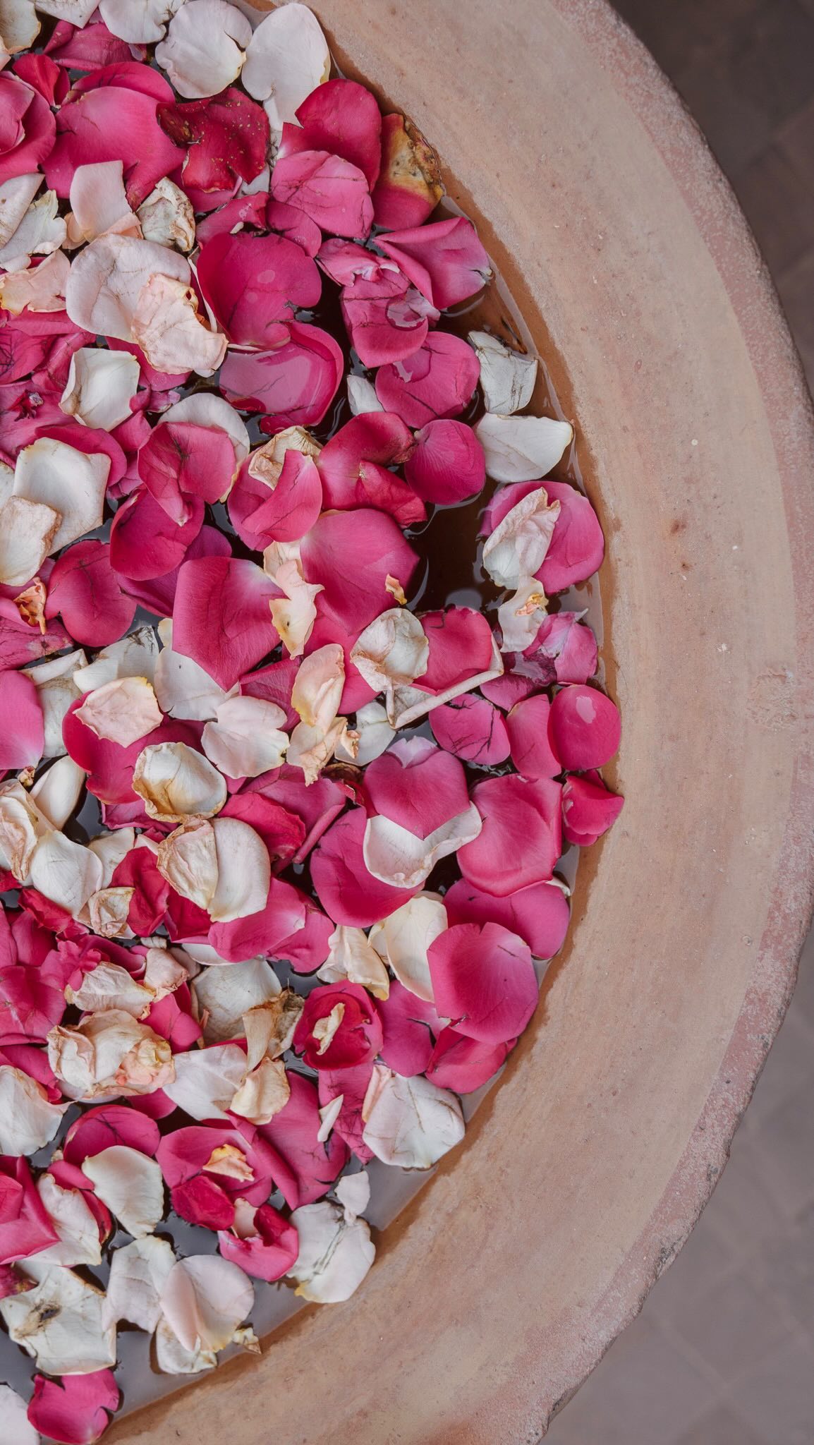 Evening ambiance in our hotel… ✨ Candles, fires, and lanterns make such a difference in the feel of a place, wouldn't you agree?
#candlelovers #hallwaydecor #hallwayinspo #riad #moroccanriad #riadmarrakech #riadlife #riadlovers #moroccandecor #moroccandesign #moroccanarchitecture #moroccanstyle #beautifulinteriors #visitmorocco #beautifulhotels #simplymorocco #moroccovacations #marrakechbynight #gloomandglow #visitmarrakech #beautifuldestinations #luxurytravel #luxuryhotel