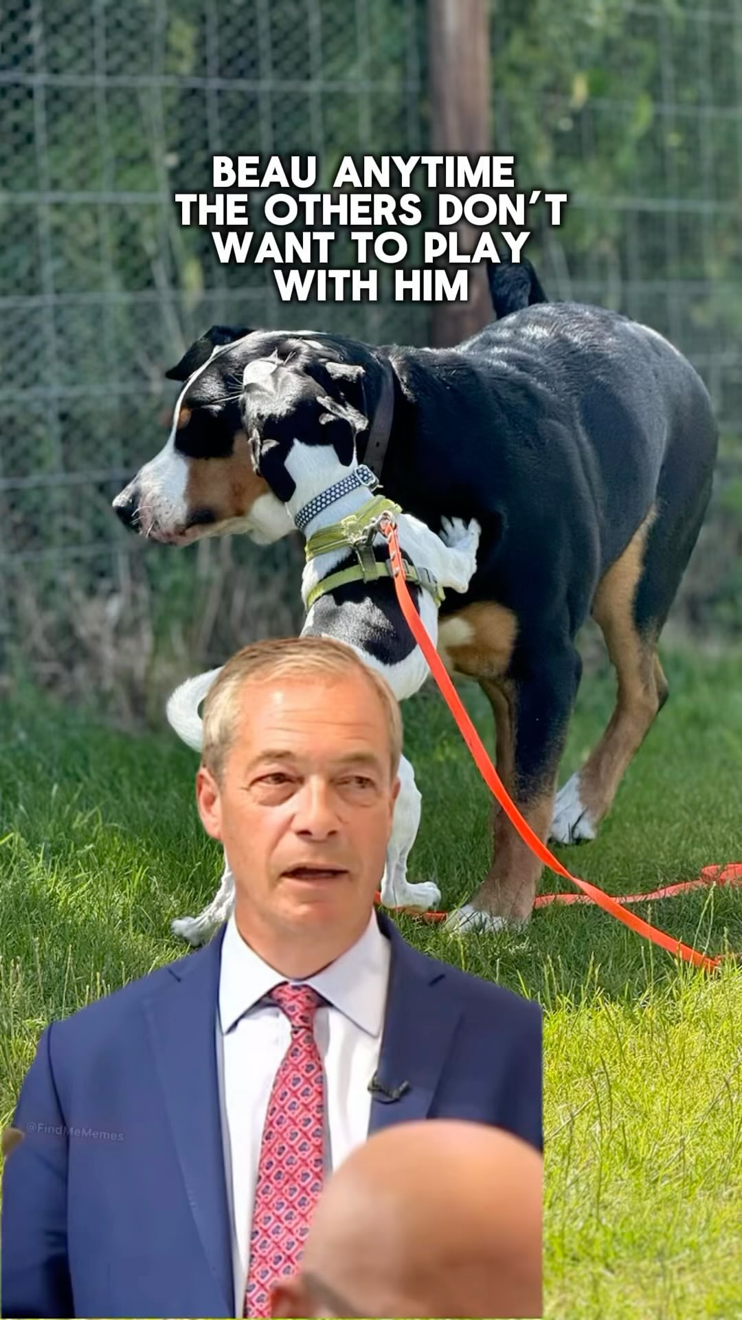 🤣🤣🤣.
.
.
.
.
#dog_features #dogsofinstaworld #dogs_of_instagram #dogoftheday #dogsofinstagram #dogstagram #doglover #dog #dogs #doggy #doggo #doge #doggies #doggie #cute #dogwalker #dogwalking #norwichdogwalker #dogwalkernorwich #norwich #norfolk #dogpark