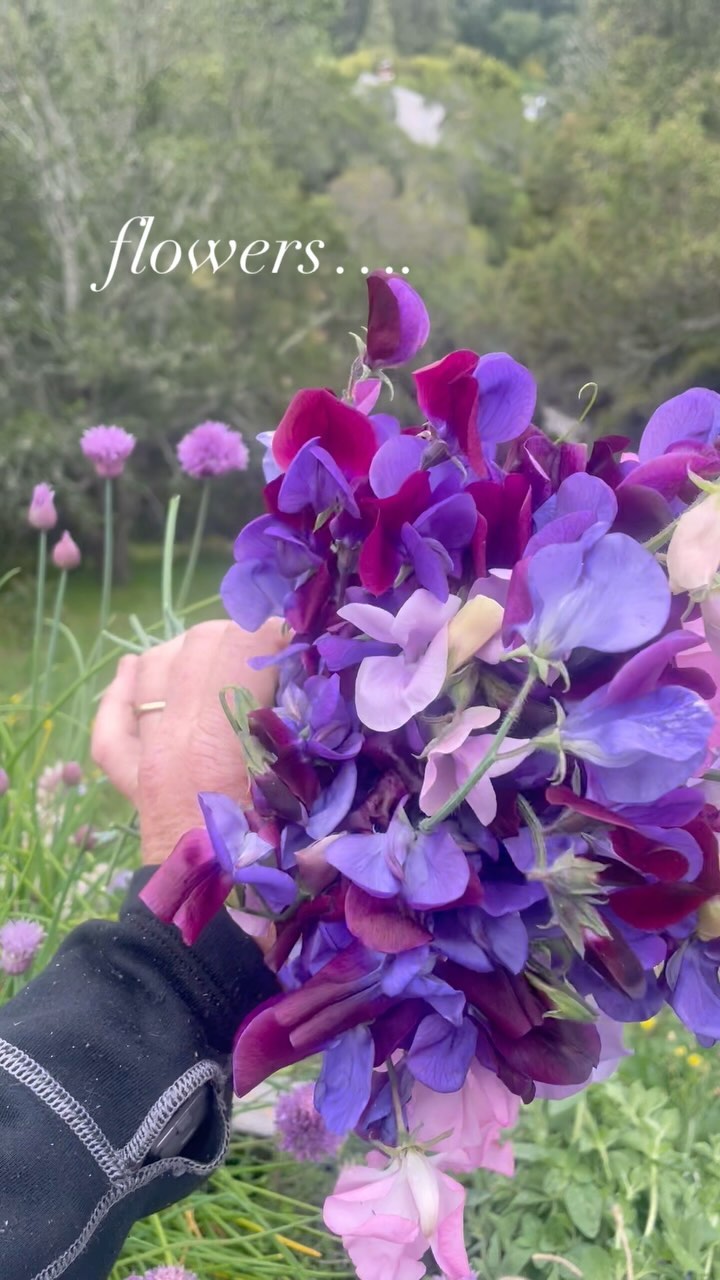 Flowers bring us joy!
We love adding flowers to our garden for so many reasons:
They add beauty, attract pollinators to the garden, feed the bees, and are so much fun to harvest for our clients.
What is your favorite flower to grow?