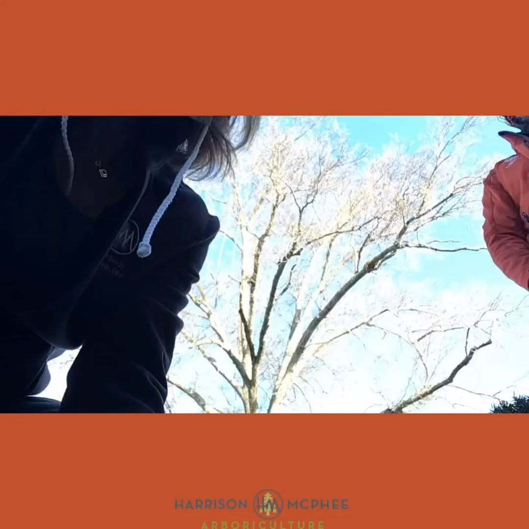 Time flies when you’re having fun!!