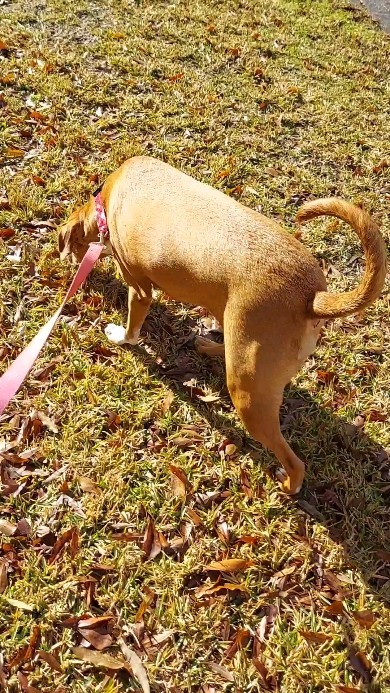 Spin Master Lilly 😆