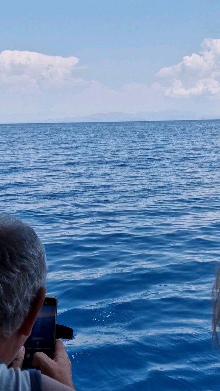 Family of dolphins 🐬 💙
#dolphins #threeislands #kosisland #wyspakos #delfiny #tigakitours #tigaki #marmari #lambi #byronboat #byron #dodekanisos #Greece #grecja