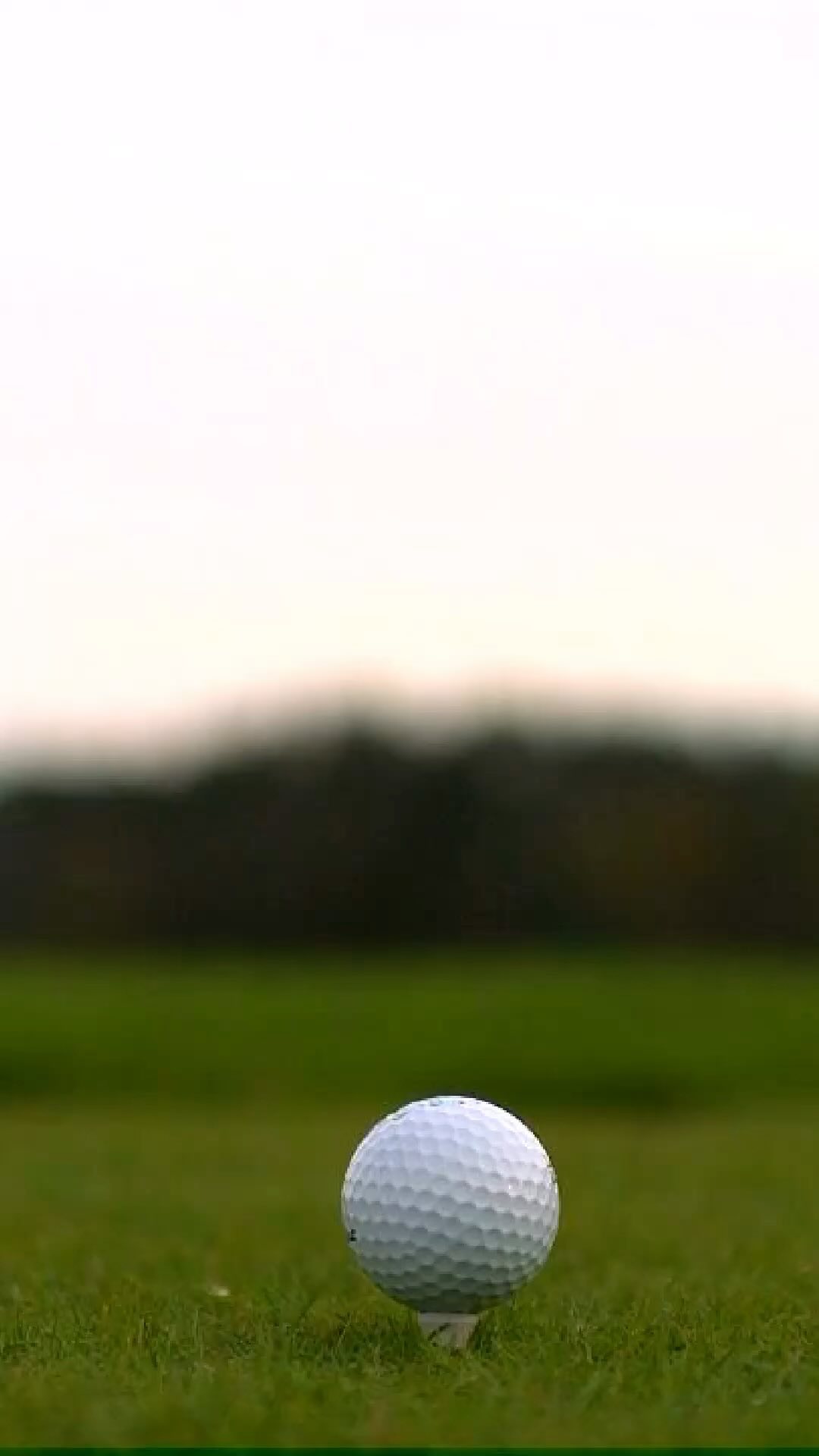 Looking for the ultimate golf getaway ? Join us on a golf tour of Vietnam! 🏌️♂️⛳️ With breathtaking views and challenging courses, Vietnam is the perfect destination for golf enthusiasts. From the bustling cities to the tranquil countryside, there’s something for everyone on this unforgettable adventure. Don’t miss out on this special opportunity. Only 6 nights away including 4 games of golf (with caddy), 5 star accommodation.
DM us for more details! #golftour #vietnam #golfing #specialtrip #travelwithfriends