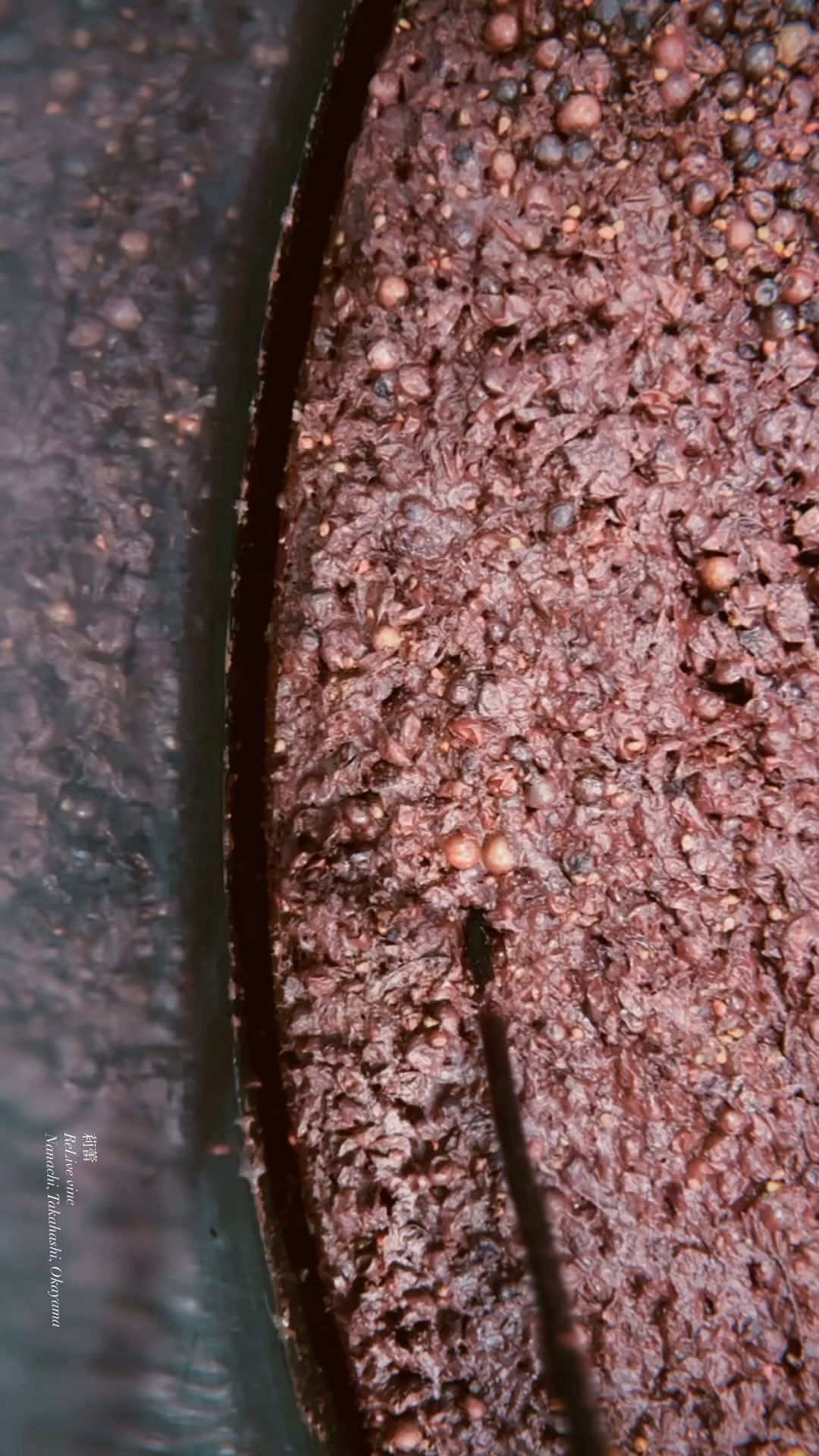 _priez pour "Arigatai"
感無量, 以外に言葉が出ない程のとてもゆたかな香りが広がっています。醸し発酵を通常より長く引っ張っても、オリもいい香り、とてもゆたかで、これ以上ないほどのものに触れることができました。ありがたいことです。触れさせていただけて、仲間にいれてくれて、ほんとうに、ほんとうに、ありがたいです。恵みは日々、恩返しへと巡ってゆき、いきものたちは生きています。いのちの声が, あなたの声が, きこえます。
I am at a loss for words; only a deep, indescribable gratitude fills the air, rich and abundant with fragrance. The extended maceration, even longer than usual, has drawn forth a beautifully complex aroma, creating something incomparable. I am truly grateful to be part of this experience, to have been given the chance to be among those who nurture it. Daily blessings continue their journey, turning into acts of gratitude, as all living beings breathe and thrive in their cycle of life.
【莉蕾|ReLive vine】
岡山県高梁市でぶどう農家をしている @itsuki_ll が、ワインの風景を歩んでいく日々を記録。現在樹齢と研修一年目。蕾から美しい花が生まれるように、いつの日か、この日々が、ワインやその先の風景に繋がっていくようにという祈りを込めて「莉蕾(りらい)」と名付けた。
ReLive vine with @itsuki_ll documents the daily life of a grape farmer in Takahashi City, Okayama, Japan, as they walk alongside wine. Currently in the first year of both vine age and training, the hope is to one day create grapes and wines that evoke the memory of the landscape. With a prayer that this will eventually lead to an unrecognizable landscape, the endeavor was named "ReLive vine".
#ワイン #農家 #醸造 #ぶどう #農業 #自然 #秋田犬 #甲斐犬 #岡山 #日本の風景 #Wine #Winemaking #Grapes #Farming #Nature #Akita #KaiKen #JapaneseLandscape #Vin #Vinification #Raisin #Agriculture #ChienAkita #ChienKai