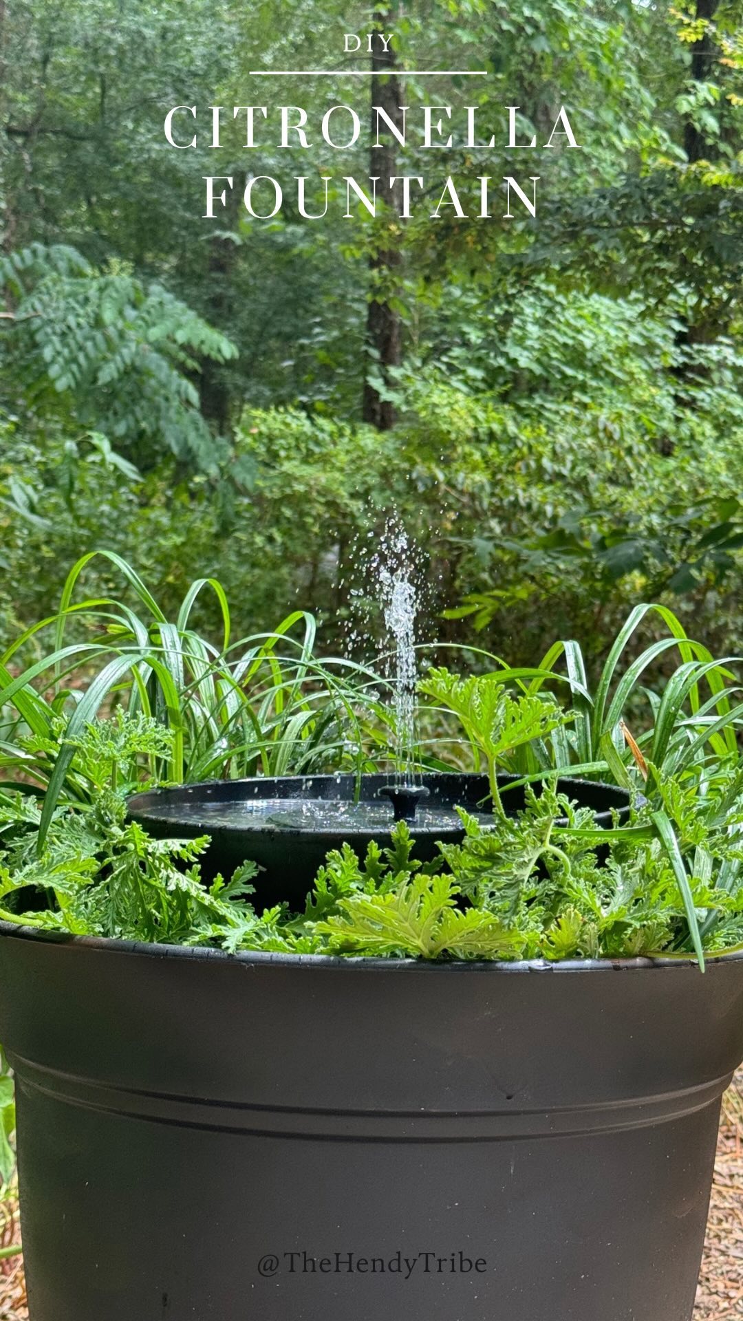 Spray paint, a pot, dirt, plants, and a solar panel fountain = backyard magic! 🌿✨ #DIYBackyard #GardenMagic #OutdoorProjects #EcoFriendly #HomeDecor #GardenInspiration #DIYProjects #NatureLovers