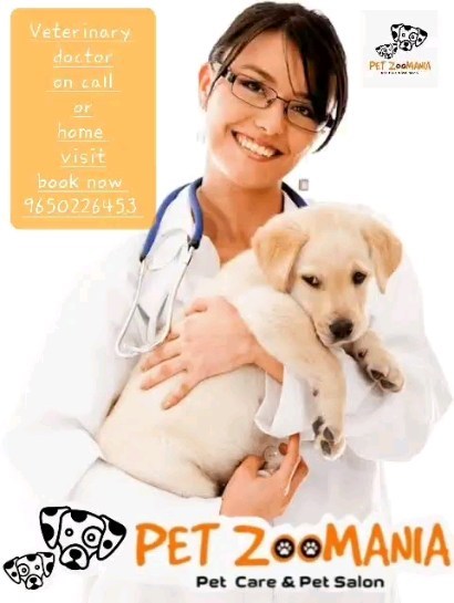 Now book Vet on call or Vet home visit.
Pet Zoomania always think about your pet care first.