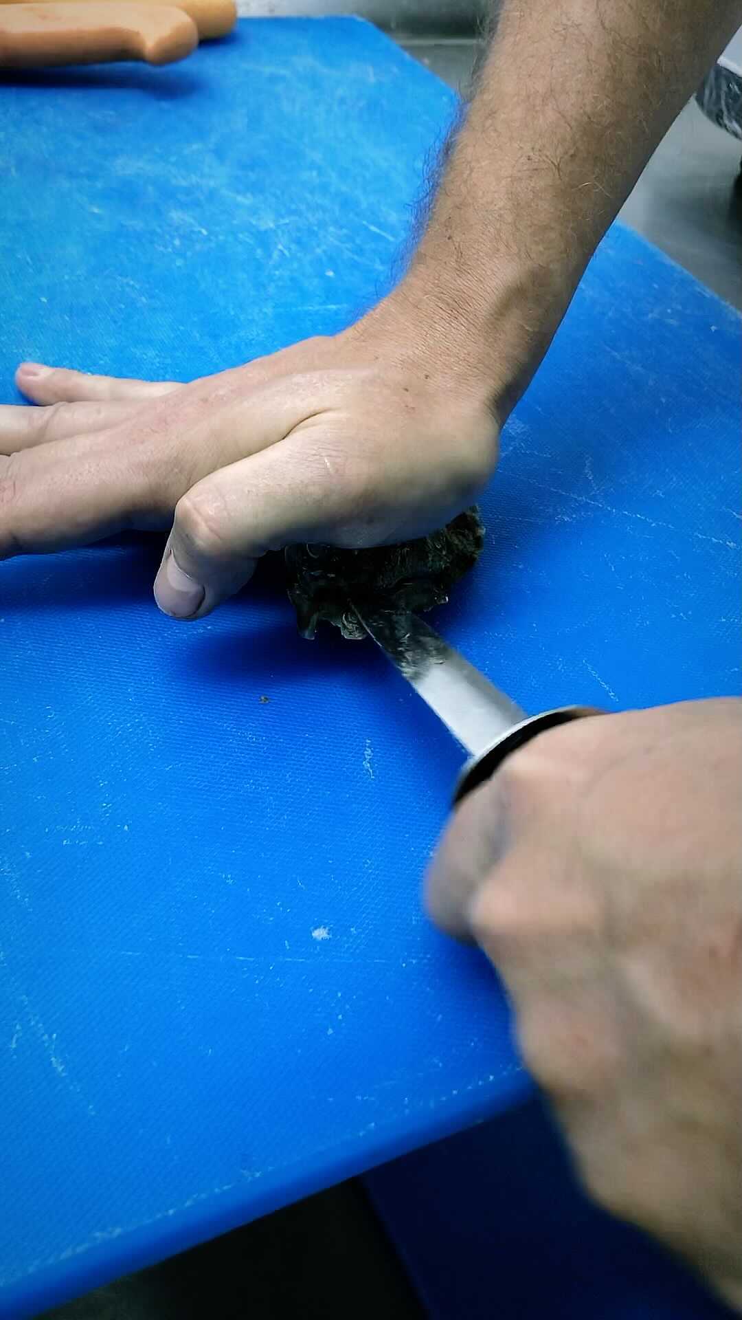 Ostion del pacifico 🇨🇴🦪