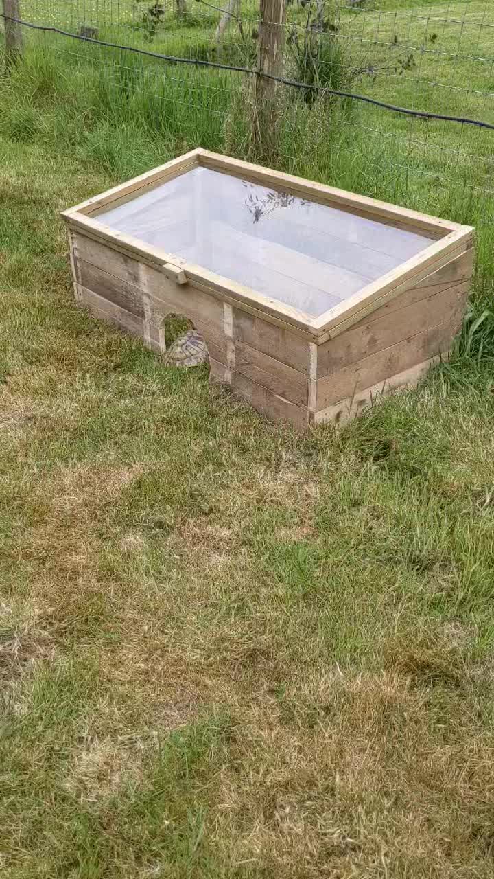 First hot box made at least tictac likes it !!!