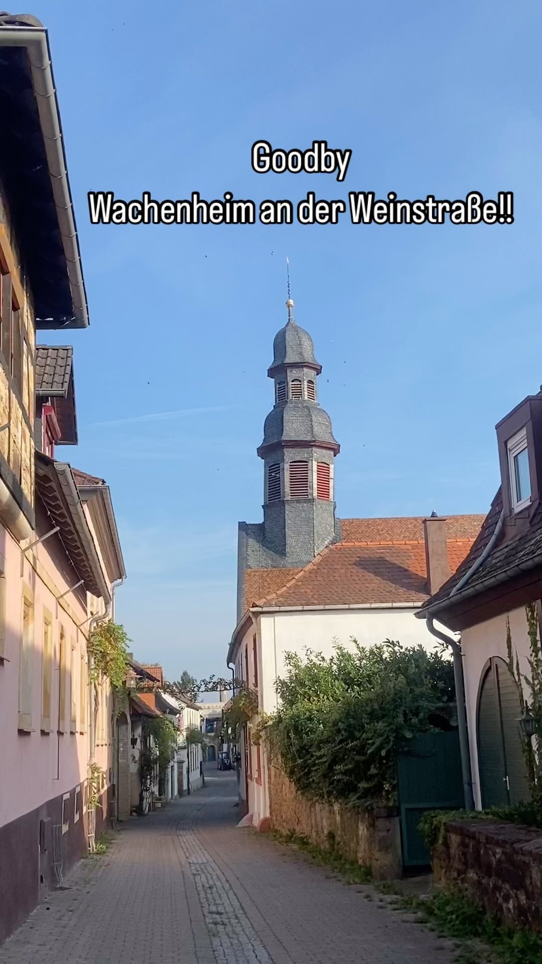 Wieder unfassbar viel gelernt beim Stimmseminar im schönen Wachenheim an der Weinstraße!
Tolle funktionale Ausbildner*innen, Kolleg*innen, Künstler*innen! Ich bin allerdings auch immer wieder erstaunt darüber, was an Deutschen Hochschulen alles in der Ausbildung fehlt! Ein Hoch auf den genialen Eugen Rabine, seine Methode und Uwe Götz, der sein Lebenswerk mit vielen anderen weiterträgt! ❤️
#mezzosopranolife #rabinemethod #rabinemethode #pfalz #operasinger #learningforlife