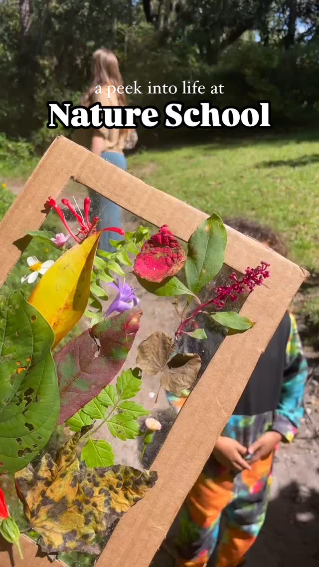 3 weeks of Nature School and I’m not sure how we ever lived without this.
Not just the outdoor learning, but the community and the fun. The curiosity and creativity. The wonder and the awe. The exploration and discovery. The magic unlike I’ve ever experienced before.
Each day I leave class feeling equally grounded and lifted. Roots down deep and energy risen. How could it be that mainstream education is so different? So disconnected from reality and the world that we live in.
I’ve never been more convinced that this is the way. To learning, to growing, to thriving. To bringing us peace. To healing our pain.
Cause Nature is our greatest teacher. Community is the cure. And when we live connected, with love and intention, there’s no limit to the light we will bring to this dimension.
It’s sad how far humanity has strayed, but
this school
this community
these children
give me hope for a future full of brighter days.
@schoolforthesol 🌞💚
#natureschool #soulschool #community #educationrevolution #forthechildren #forthefuture