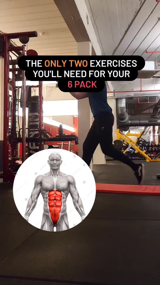 When it comes to targeting the abs , there are a gazillion videos you can find on the internet making it confusing for most people.
Here is a summary of the two main exercises to target your six pack... And that's it!!
By 6 pack we are talking about the rectus abdomis muscle roughly spread in upper and lower area.
Please note that this muscle is not the only one composing the abdominal chain.
I invite you to train them as completely as possible to avoid injuries.
Cheers
#brussels #bootcamp #injuryprevention #thegoodcombo_ #belgiumnature #belgiumfitness #parcducinquantenaire #explorepage #boisdelacambre
