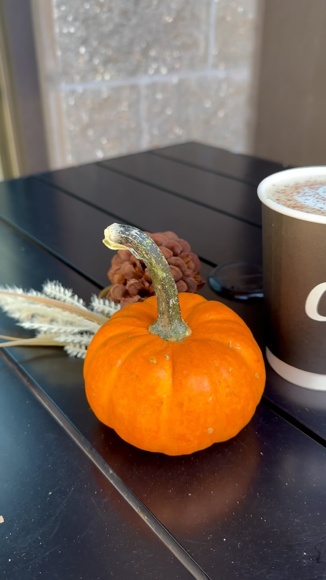 🎃🍂 Pumpkin Spice is Back! 🍂🎃
It’s that time of year again—Pumpkin Spice everything! Not just your favorite lattes and chais, but we’ve got delicious treats to match:
🍪 Pumpkin Creme Pie Cookies
🥧 Pumpkin Scones
🥐 Pumpkin Spice Croissants
Fall flavors are calling—come and get ‘em at Crave! #PumpkinSpice #FallVibes #CraveCafe #PumpkinEverything #CozySeason #cravethis