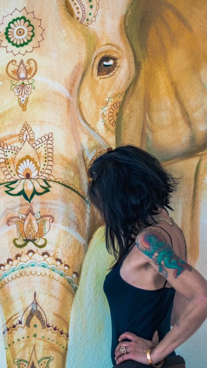 Impressionen der Yogabars… Momente 💃🏼🙏
www.yogabar.de
@isabellagrodecki @movingiaia @ayyad.muna @lucas_yoga95 @padmini.yoga @wellenbewegung @sanemselici @feliciamamo @yogamitmj @holistic_jeanine @coaching.astridhagedorn