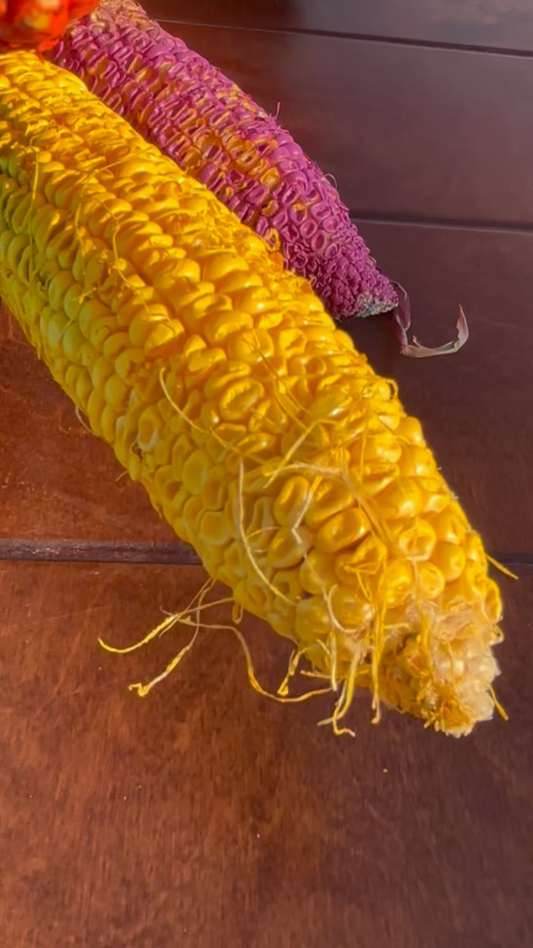 #funk #reggae #coverband #limassol #cyprus #private #and #public #events