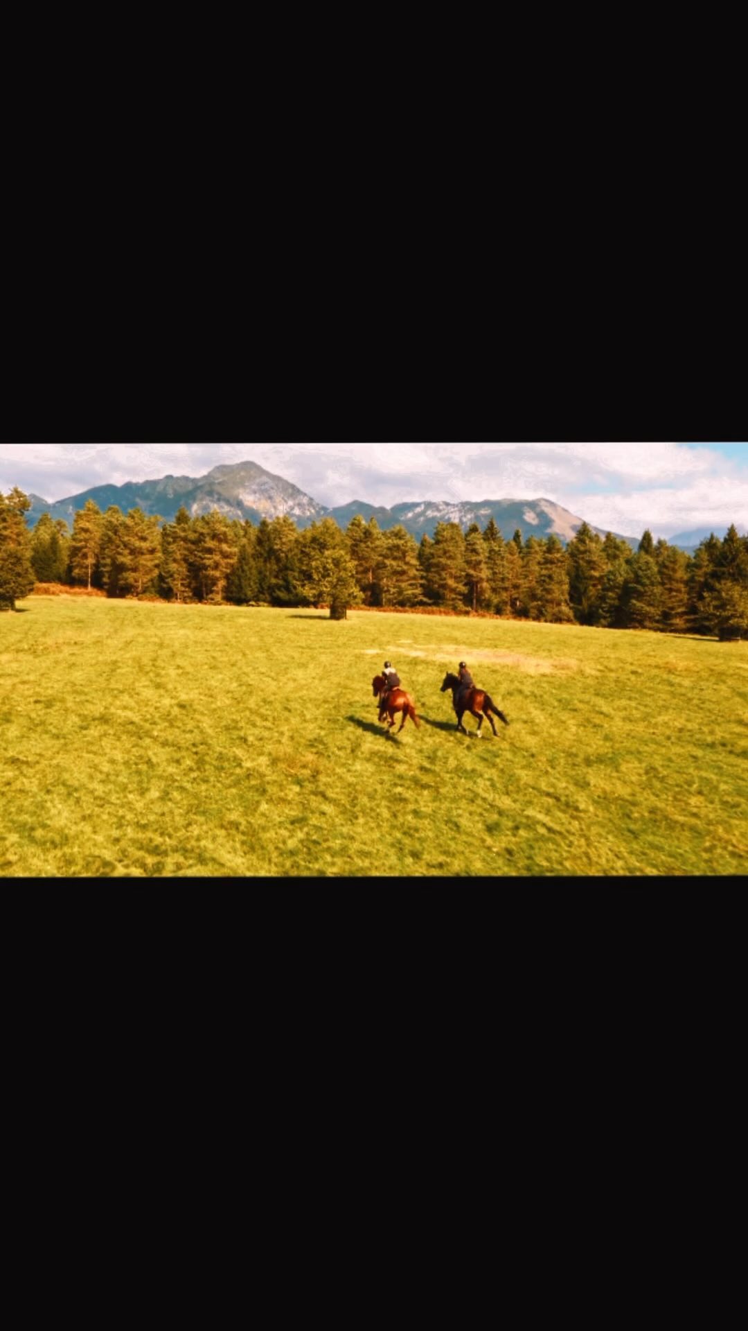 TRADE LAUNCH!!!!
6th November 2023
Here is your chance to grab your place on what will be the biggest equine market in the world!
DM us for your chance to get the first look at our brand new website!
#horselinx #equine #equinesofinstagram #equinemarketplace #marketing #launch #showjumping #dressage #eventing #horseriding #horseracing #driving #reels #horselove #horselover #horsey #horseshow #horsegirl #horseboy #equinelife