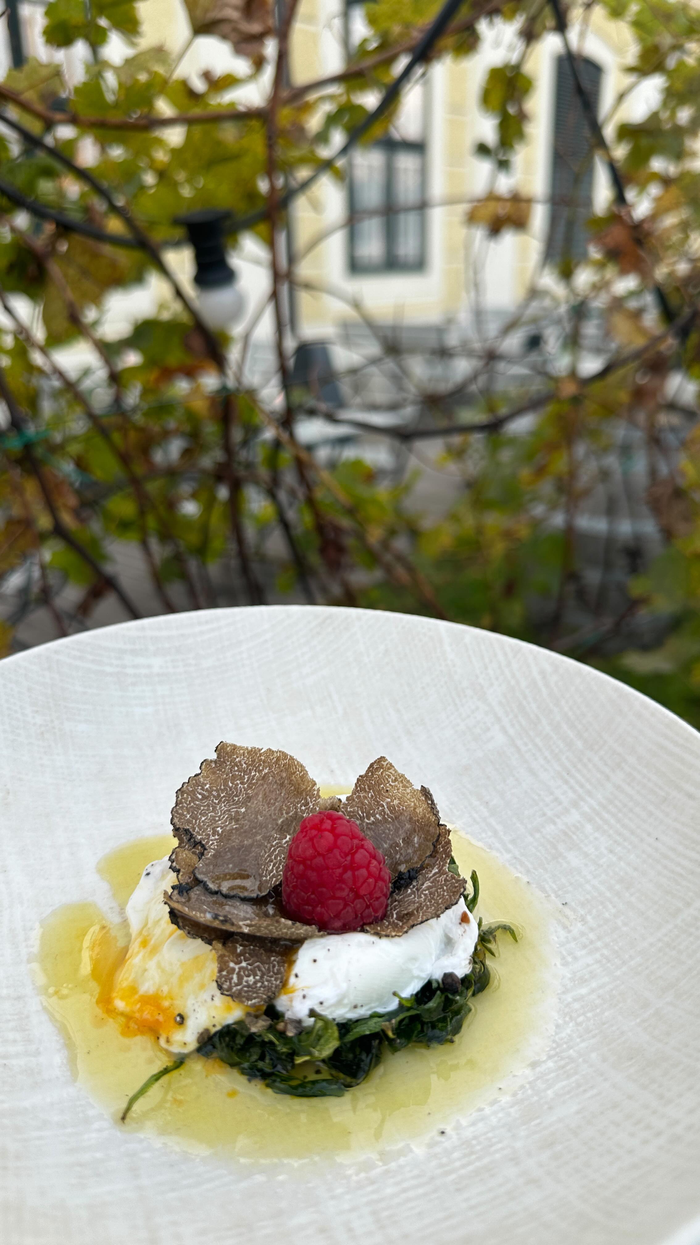 ✨ An Evening of Winter Truffles - Wednesday, 13.11.2024 at Joseph II. ✨
Join us for a special dinner showcasing the rich flavors of winter truffles. A curated menu celebrating this seasonal delicacy. For reservations please E-Mail us: info@joseph2.at
#Vienna #VisitVienna #VisitSchlossSchönbrunn #JosephII #RestaurantWien #GastroNews #ViennaFood #VienneseCusine #WienerKüche #Hietzing #Wien #EsseninWien #RestaurantinWien #Foodguide #ViennaFoodGuide