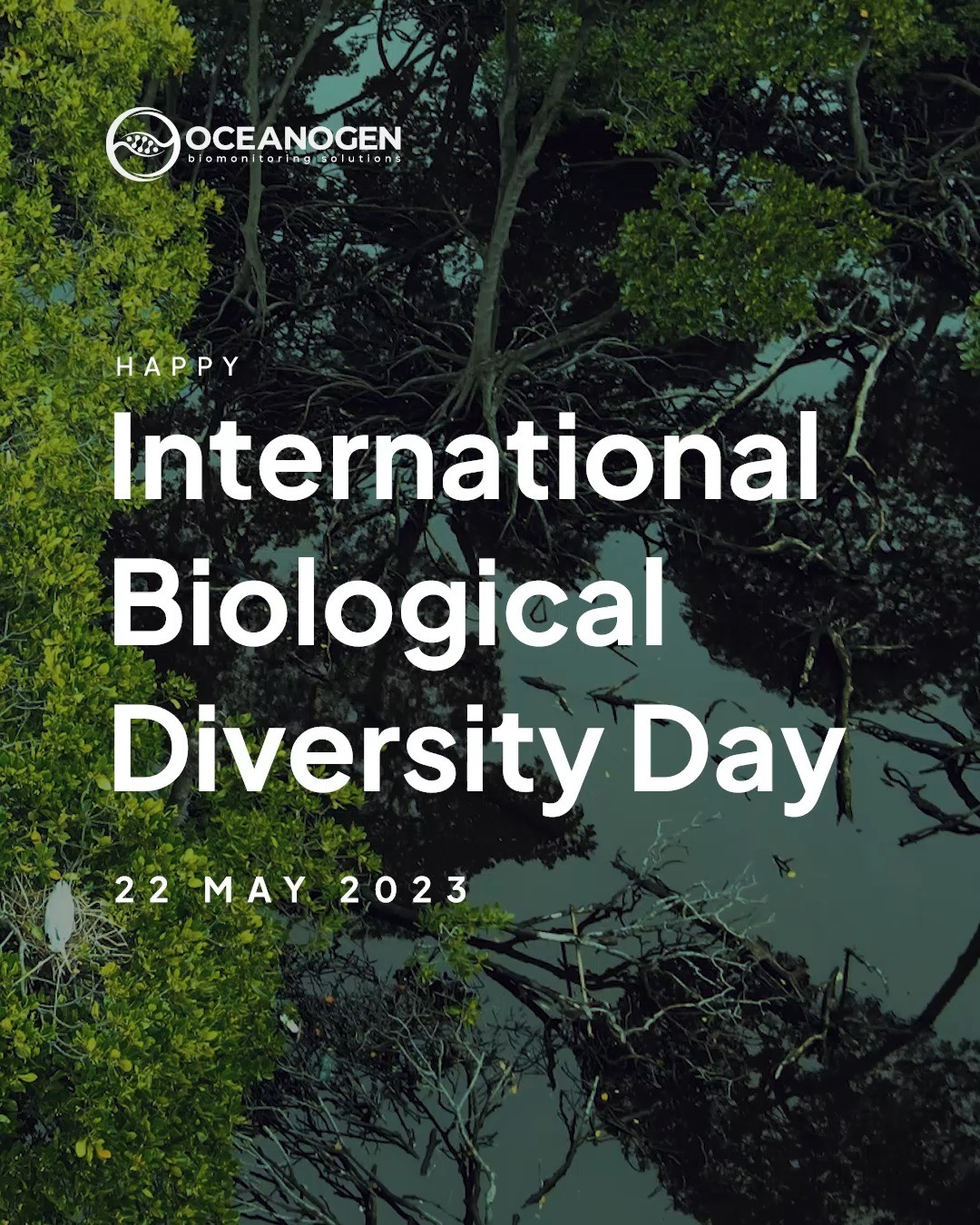 International Day for Biological Diversity 2023
Biodiversity is essential for the ecological frameworks that support all life on Earth, yes all life. Humans itself rely on biodiversity in numerous ways, and it is critical that we preserve it. We will never know how far humans will survive if the fish in the sea become few, green areas become barren, even only a few species of birds (the pollinators) remain on earth.
Let’s Build Back Biodiversity for a Better Life.
—
Website oceanogen.com
Email contact@oceanogen.com
Instagram @oceanogen