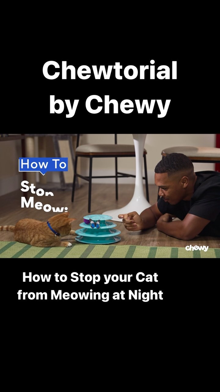 I always love working with the people @chewy not only are the snacks good, but they always have the best vibes!
I’m extremely proud of this Chewtorial and Nacho there! 🐱🐈😻
#chewy #chewtorial #actor #laactors #miamiactors #leonardmoore