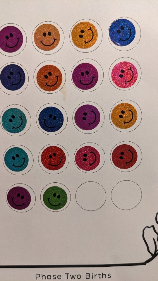 Santa socks and all 🎅
This is a sticker sheet of my phase 2 births that I still need. Can y'all catch how many I need before I hit the next phase? 😊