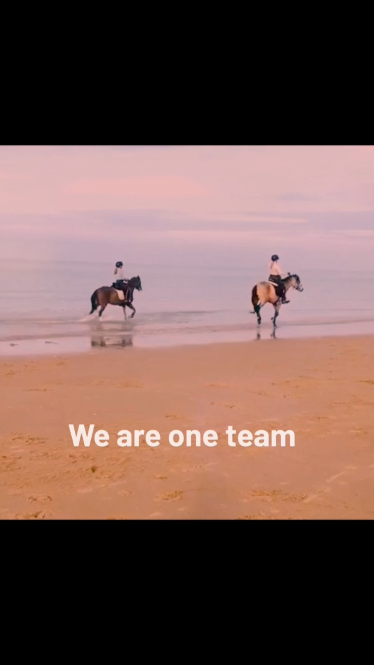 💥Stal Gravenhof💥