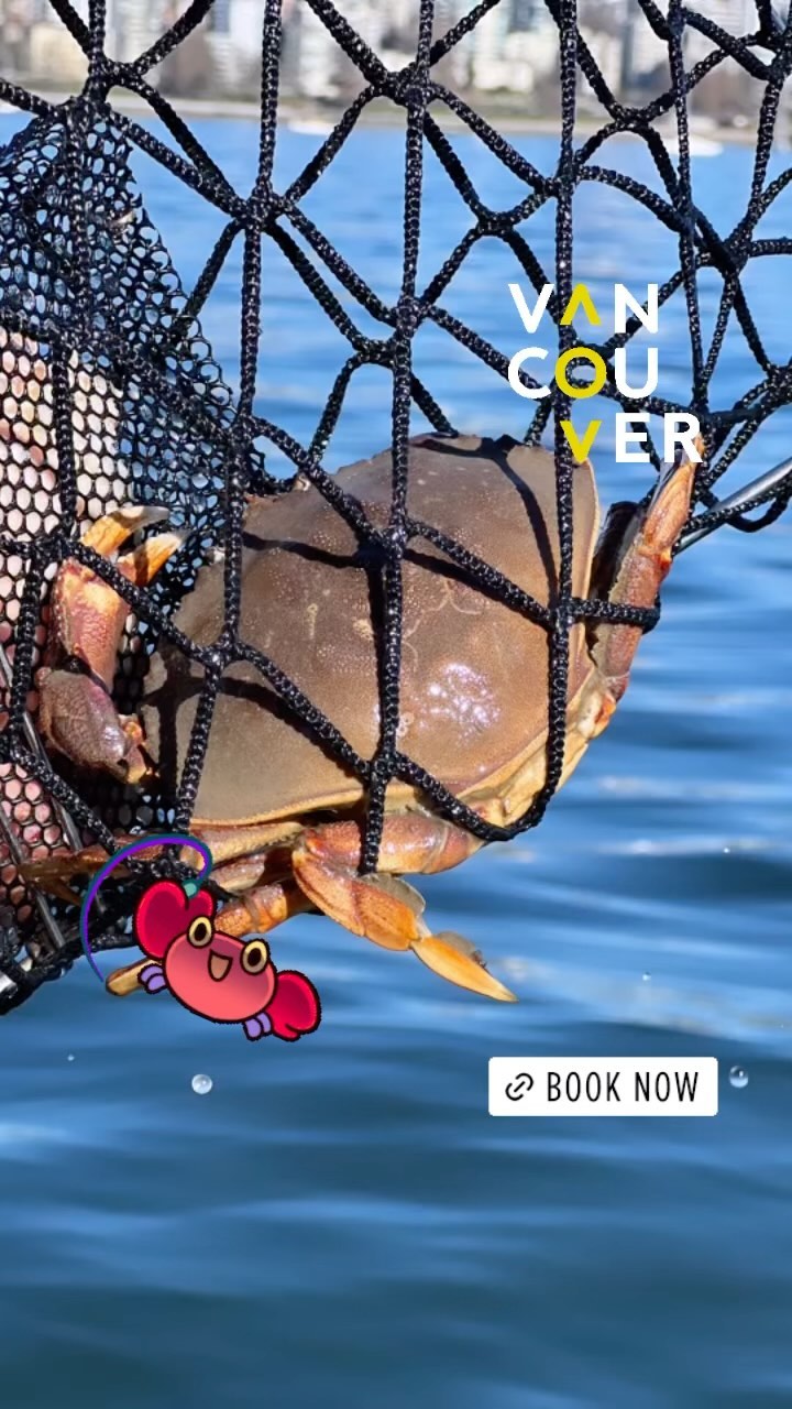 Crabbing Adventures await in Downtown Vancouver! 🦀 Set sail with us and reel in some fresh catches white enjoying the running city skyline. Book with us and embark on an unforgettable crabbing experience!
#seaskyboatrental #vancouver #downtownvancouver #boatrental #crabbingadventures #vancouvercrabbing #vancouverbc #vancouverisawesome