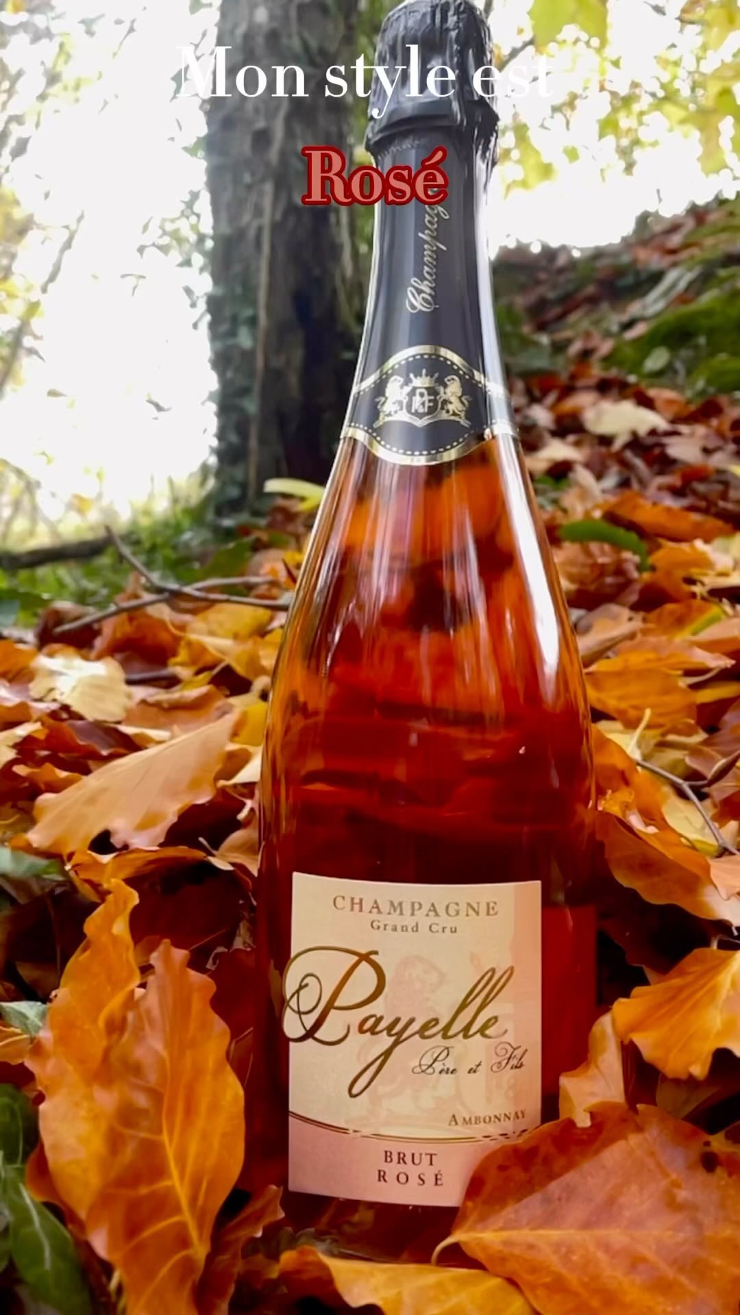 À chacun son style 💕🌟🍀❄️ #champagne #grandcru #champagnepayelle