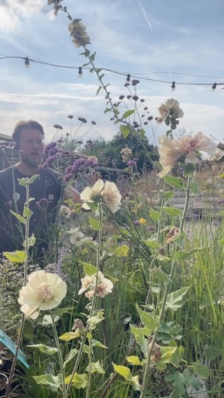 Vrijdag 9 augustus 13:00: Gratis rondleiding TUINGEHEIMEN! Kom je ook? Tuinontwerper Marc Sterk neemt je mee door de wondere wereld van planten en hun waardevolle toepassing in de tuin. Voor mooie en slimme beplantingsplannen!
Aanmelden kan via de link in bio of via DM!