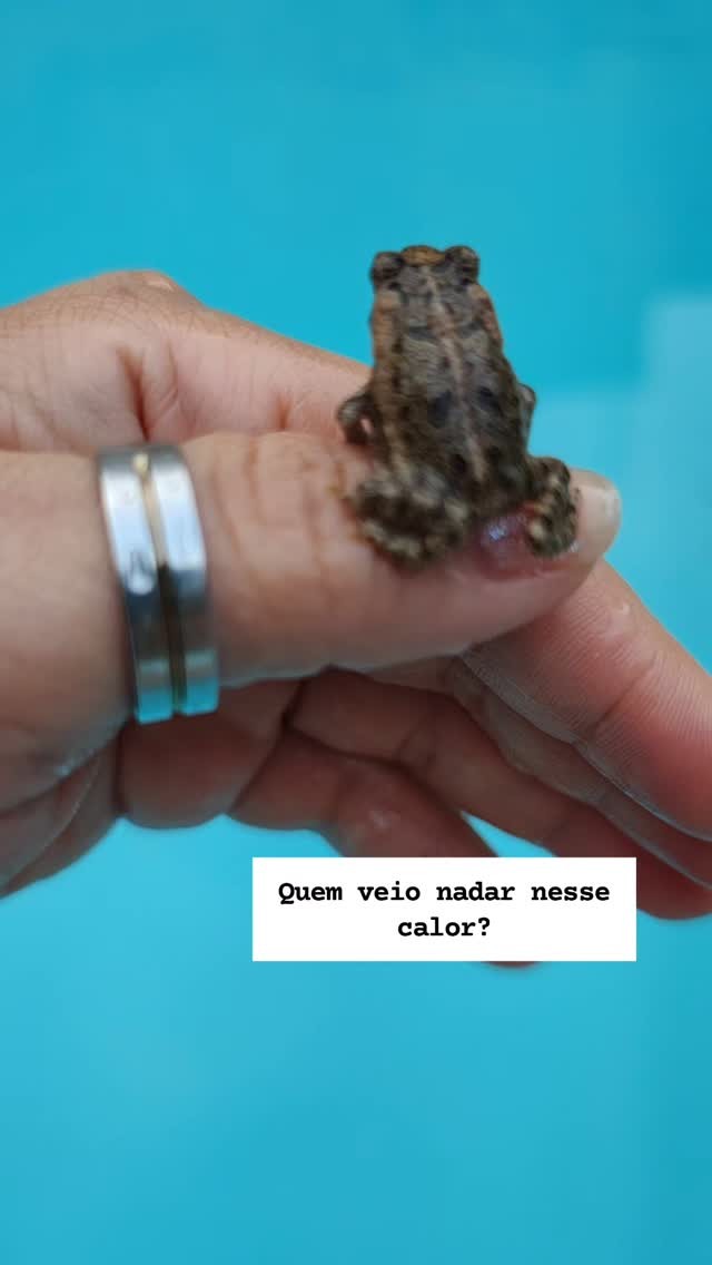 Que calor é esse?
#jurema #calor