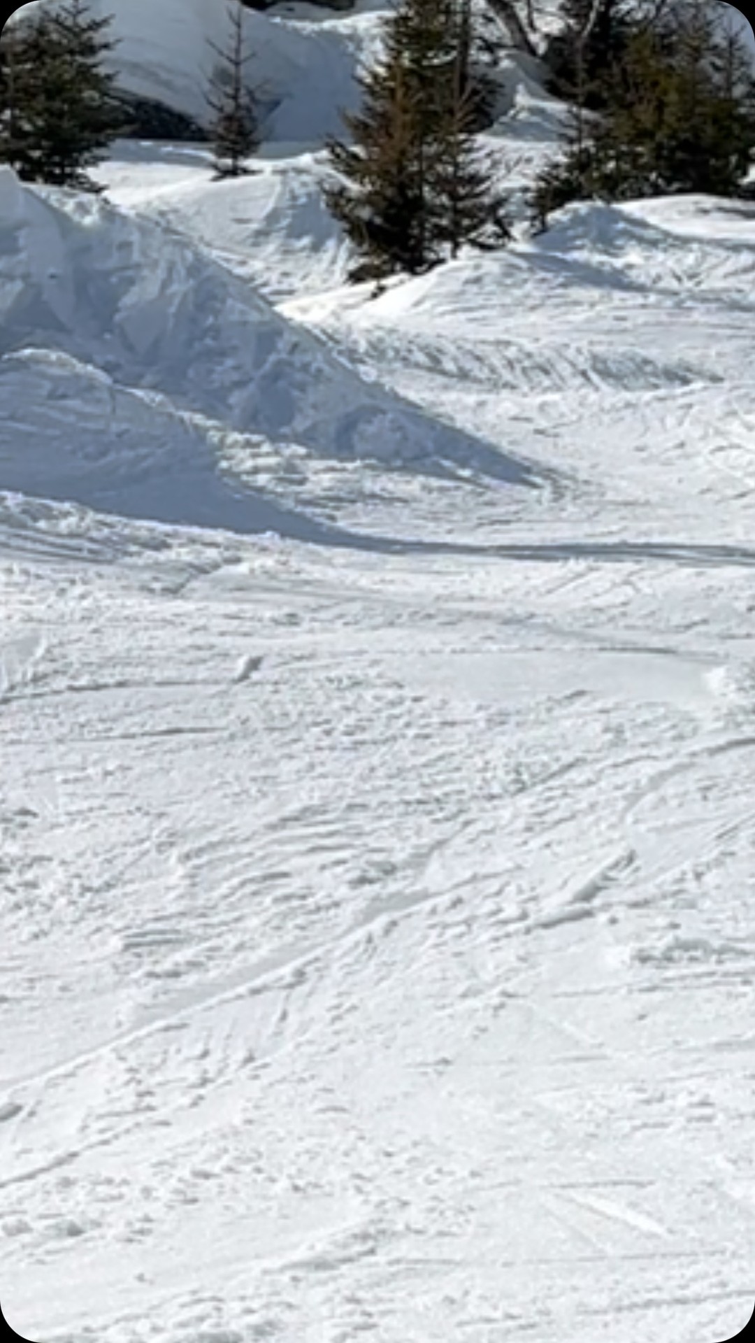Tour of the merry-go-round.
@quiksilver @henaff
@libtechnologies
@k2.snowboarding
#snowboarding #snowboard #snow #board #chamonix