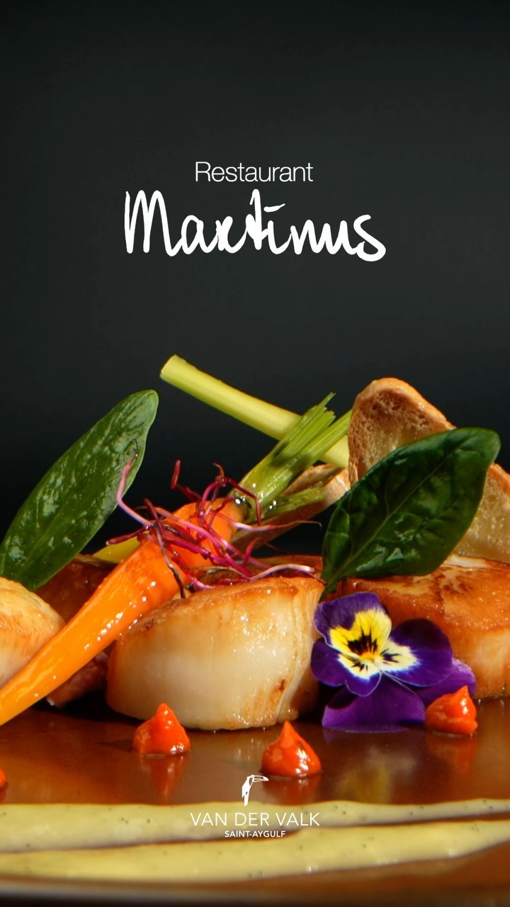 Après le backstage > le résultat de la campagne pour @restaurantmartinus 🤤
#food #luxuryfood #shortsvideo #foodcontent #foodcreations #stjacques #healthyfood #pubfood