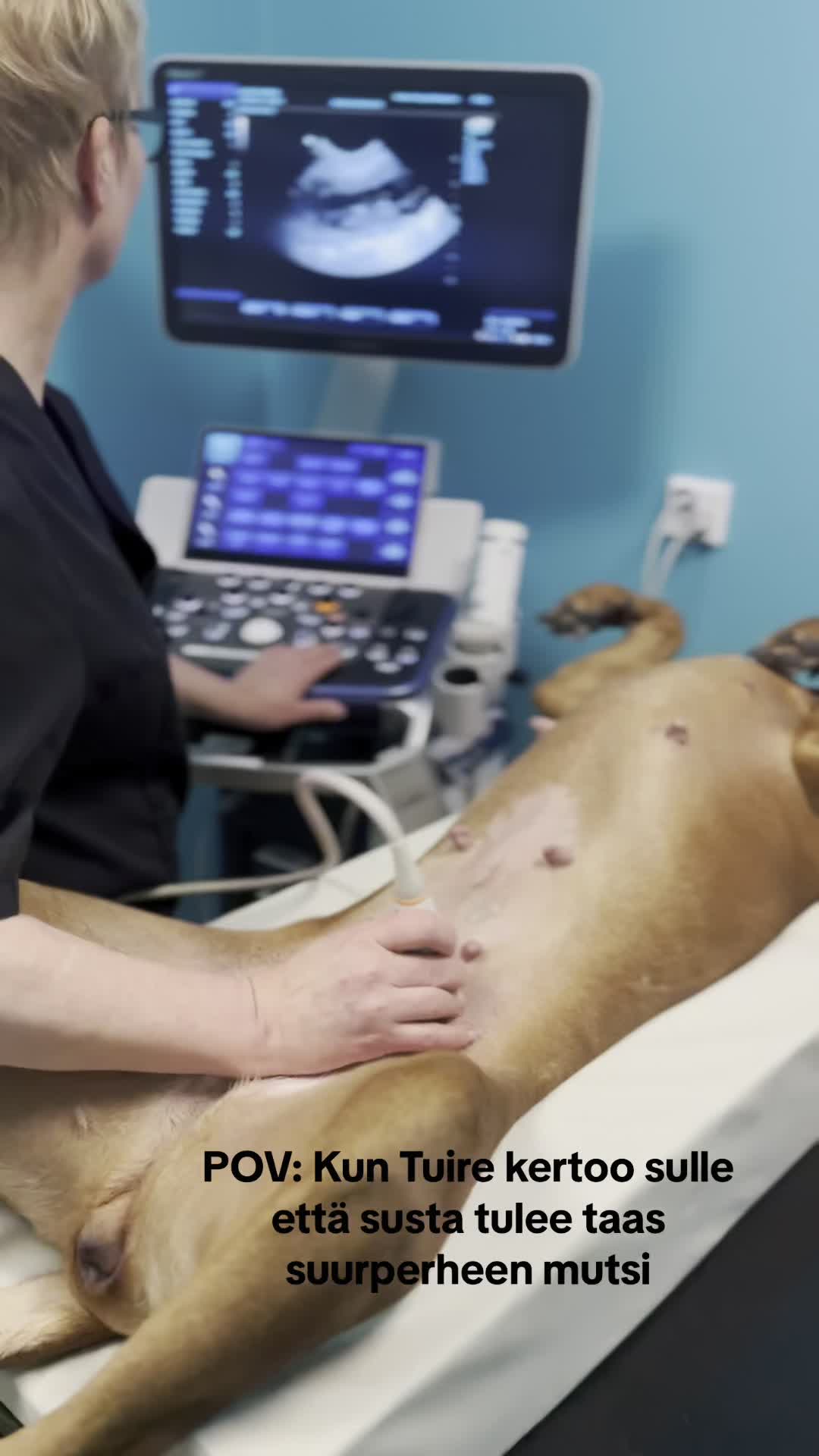 Tuire Tammisen tiineysultrauksen jĂ€lkeen ei muualla halua kĂ€ydĂ€ âșïž