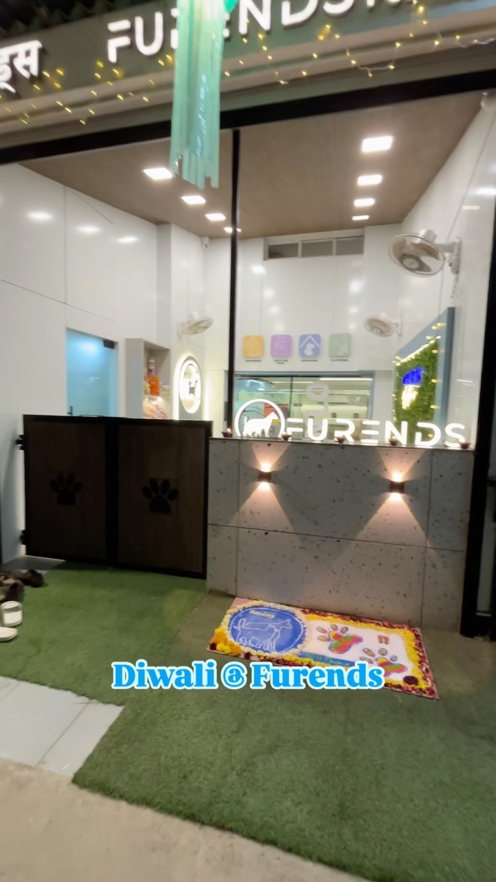 First diwali at Furends pet studio❤️✨
#mumbaipetslovers #trendingreels #diwali #petstudio #petcafe #dogsofinstagram #trendingaudio #trending #diwalivibes✨