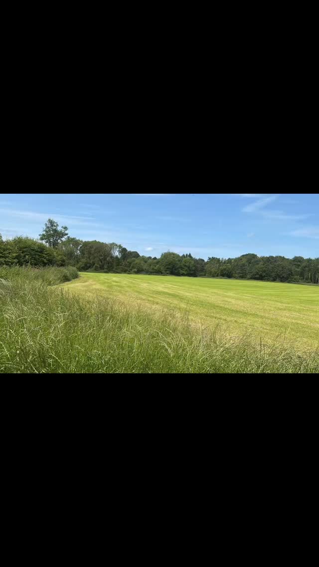 Off Grid Sweeping today!