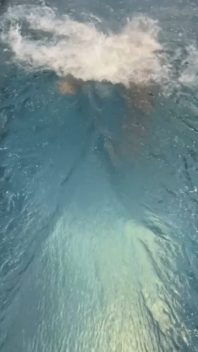 🚨 Now Open for Bookings! 🚨
🌊 @swimacademy_london by Give It A Tri is officially accepting bookings! 🏊♀️ Lessons kick off on 11.11.2024, so don’t miss out on the chance to perfect your skills in our elite endless pool. Whether you’re just starting out or training for your next triathlon, we’ve got you covered!
👶 Lessons for all ages and abilities
📈 Video analysis & real-time feedback
💪 Flexible packages available
Secure your spot today! DM us or visit our website to book your first session! 🌟