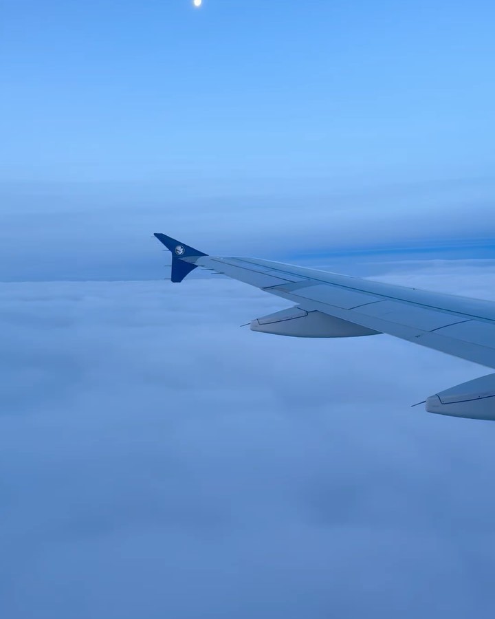 Départ pour la cidade maravilhosa Rio de Janeiro. Écrire une suite des deux romans ? Allons voir ? www.lhommederio.fr #riodejaneiro #joiedevivre #amitié #favela #elenao
#lyon #progres #beauté #population #christ #redemption #jeanpaulbelmondo
#beaute #samba #carioca #beaute #carnaval #christ #redemption #corcovado
#enfant #favelas #elephant🐘 #dieux #deus #amour #love #belmondo
#gang @faveladopaulinho #livre #enfance #belmondo #lhommederio.fr