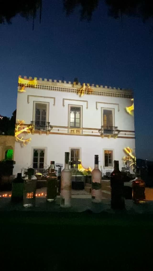 A look back at this wonderful experience in Sicily. @villa_mon_repos .
#videomapping #weddinginspiration #wedding #weddinginsicily #mapping3d