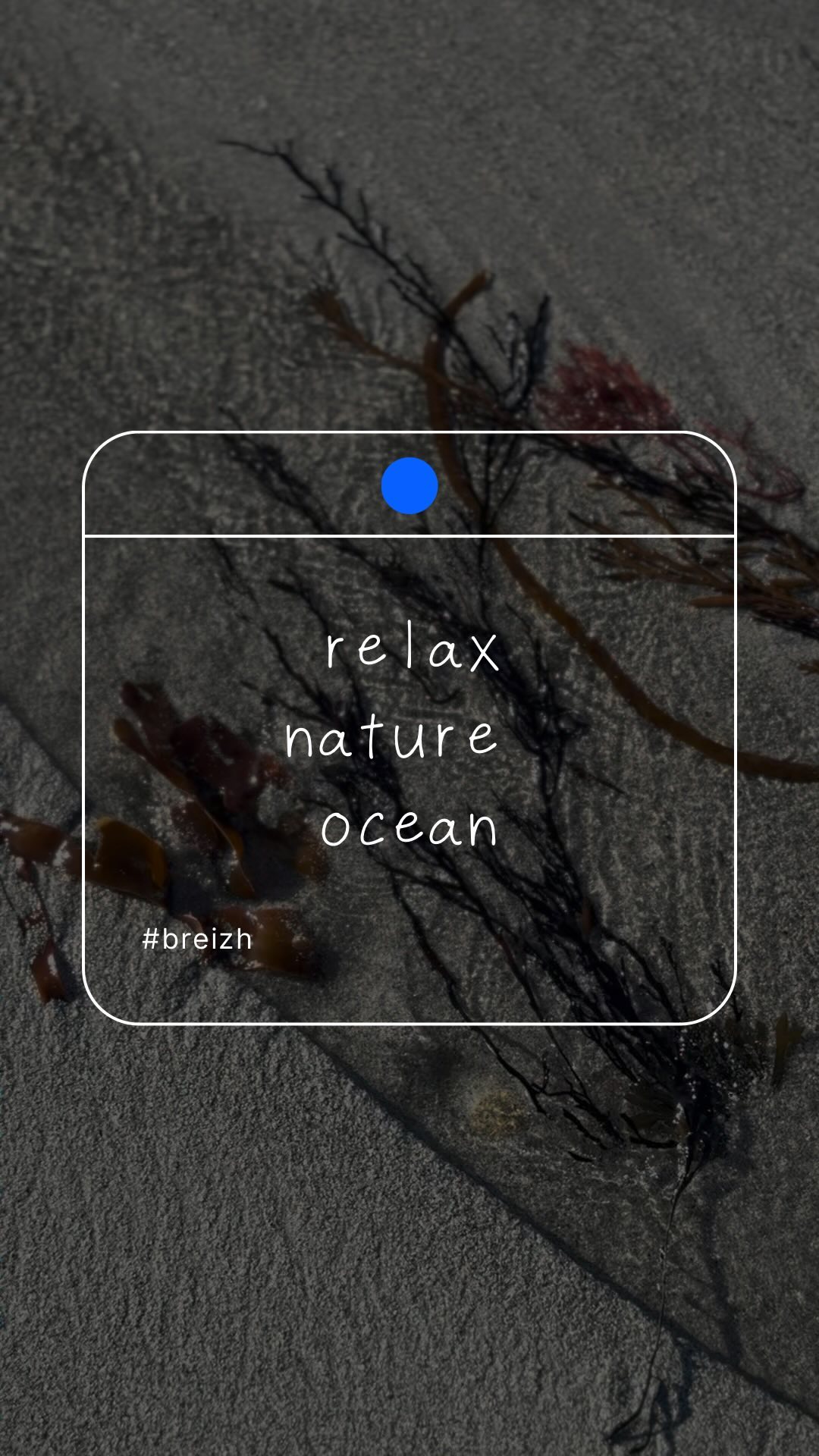 Petite balade sur la plage avec Makache, nous deux face à l’océan. Rien de mieux pour se vider la tête et profiter du moment présent. 🐾💙
#RelaxNature #MomentSimple #oceanvibes