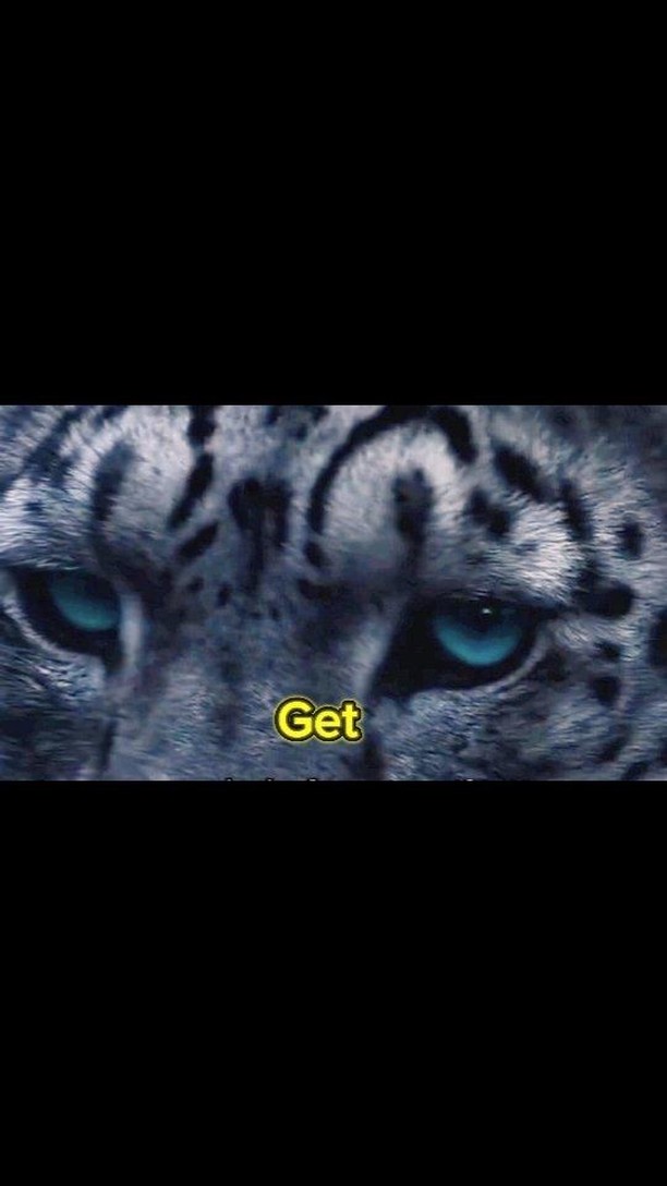 How to get blue eyes that look super natural and real. 1) head to the website tassuw c 0 m (2) Select Shop BLUE Lenses (3) Select Cinema Blue and add to basket (4) checkout and eagerly await your gorgeous blue lenses (5) wear your blue lenses and unleash your inner feline 😺
Visit the Link in B1O !
#tassuw #colouredcontactlenses #colouredlensesuk #coloredcontacts #coloredlenses #contactlenses #eyehealth #eyemakeup #blueeyes #bluelenses WOULD YOU WEAR BLUE LENSES?