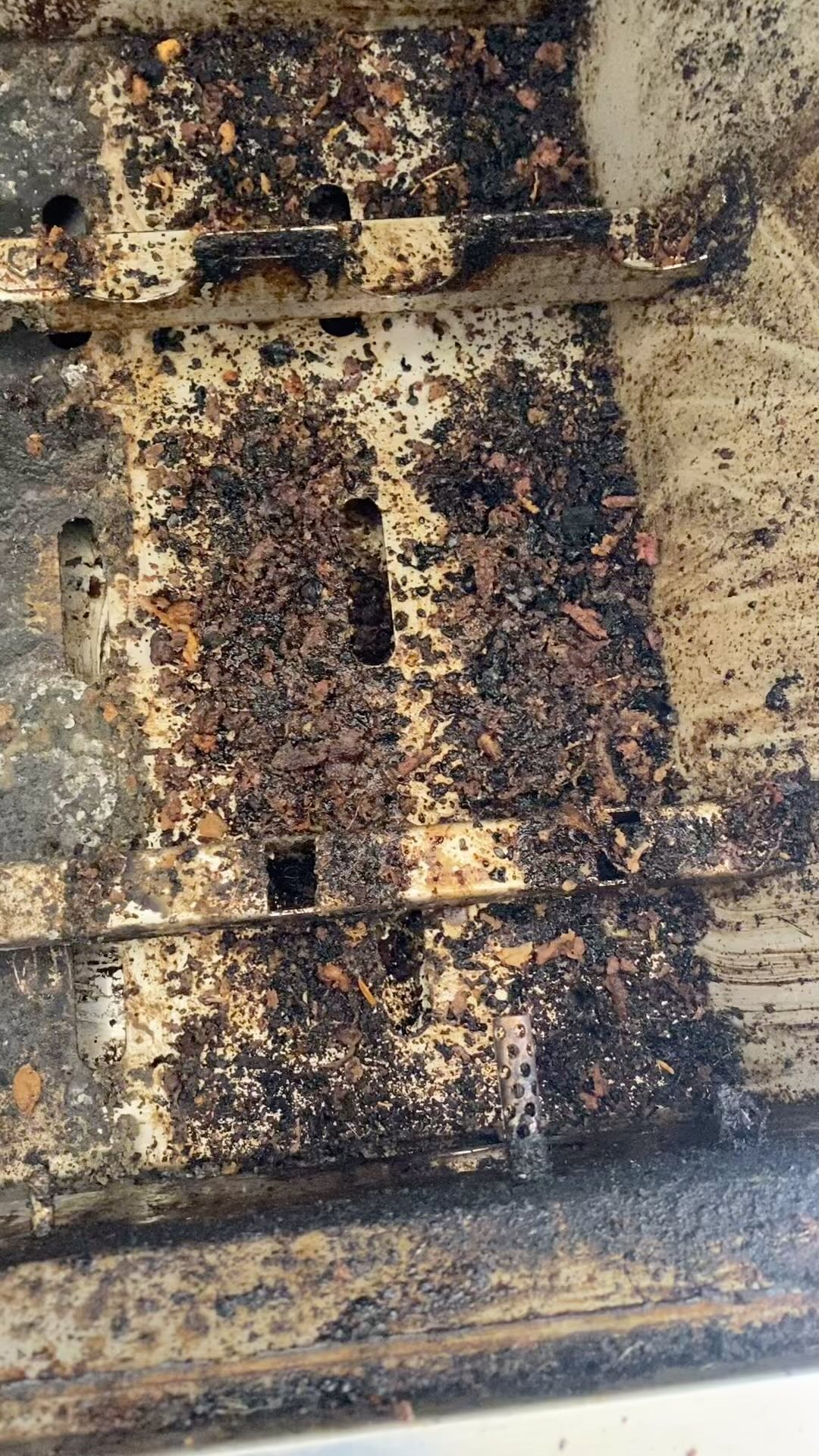 Grill cleaning Grillhampton.com