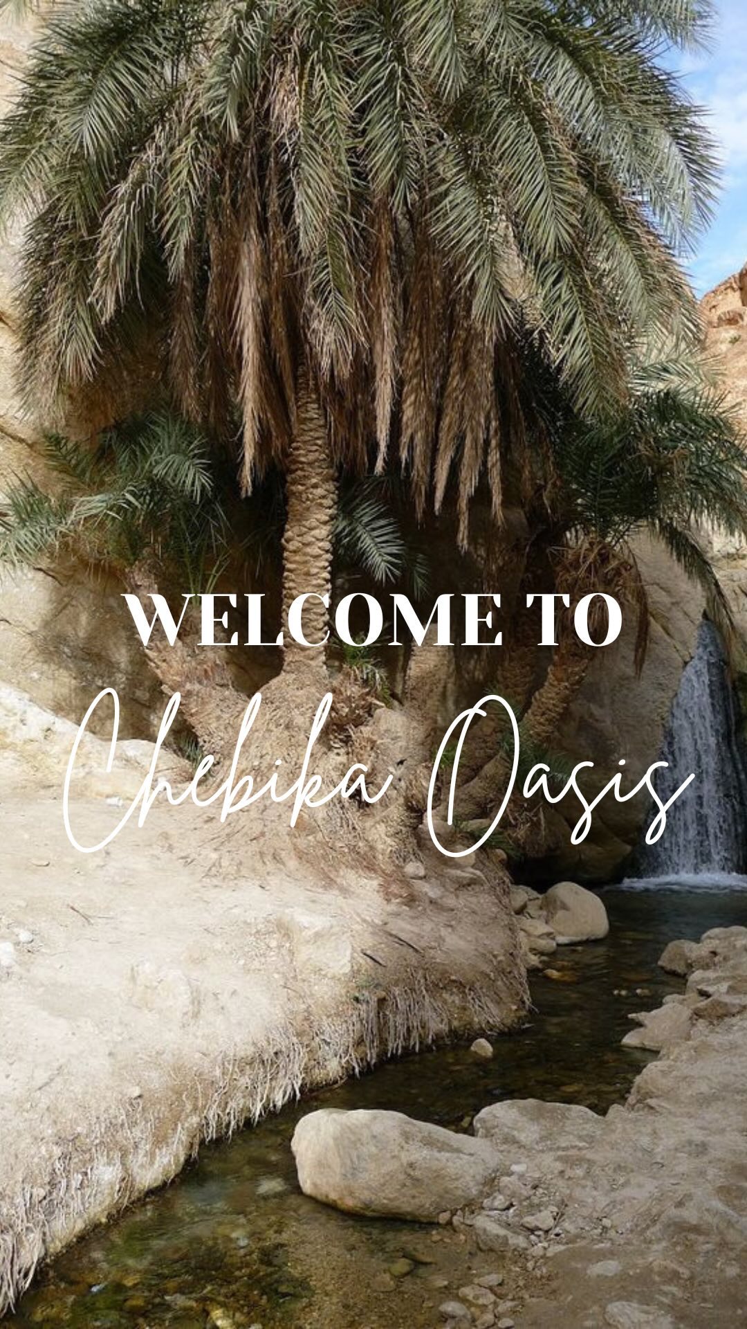 🌴 Did you know? The Chebika Oasis, also known as the “Castle of the Sun,” is a hidden gem in Tunisia that was once a Roman outpost.
.
✨ Curious to know more? Here are some facts and clips of this breathtaking oasis that will have you packing your bags for a visit!
.
Like this video if you enjoyed this content.
.
Credits to:
@nickipoststravelstuff
.
#chebikaoasis #traveltunisia #oasisadventure #exploretunisia #tunisia #travel