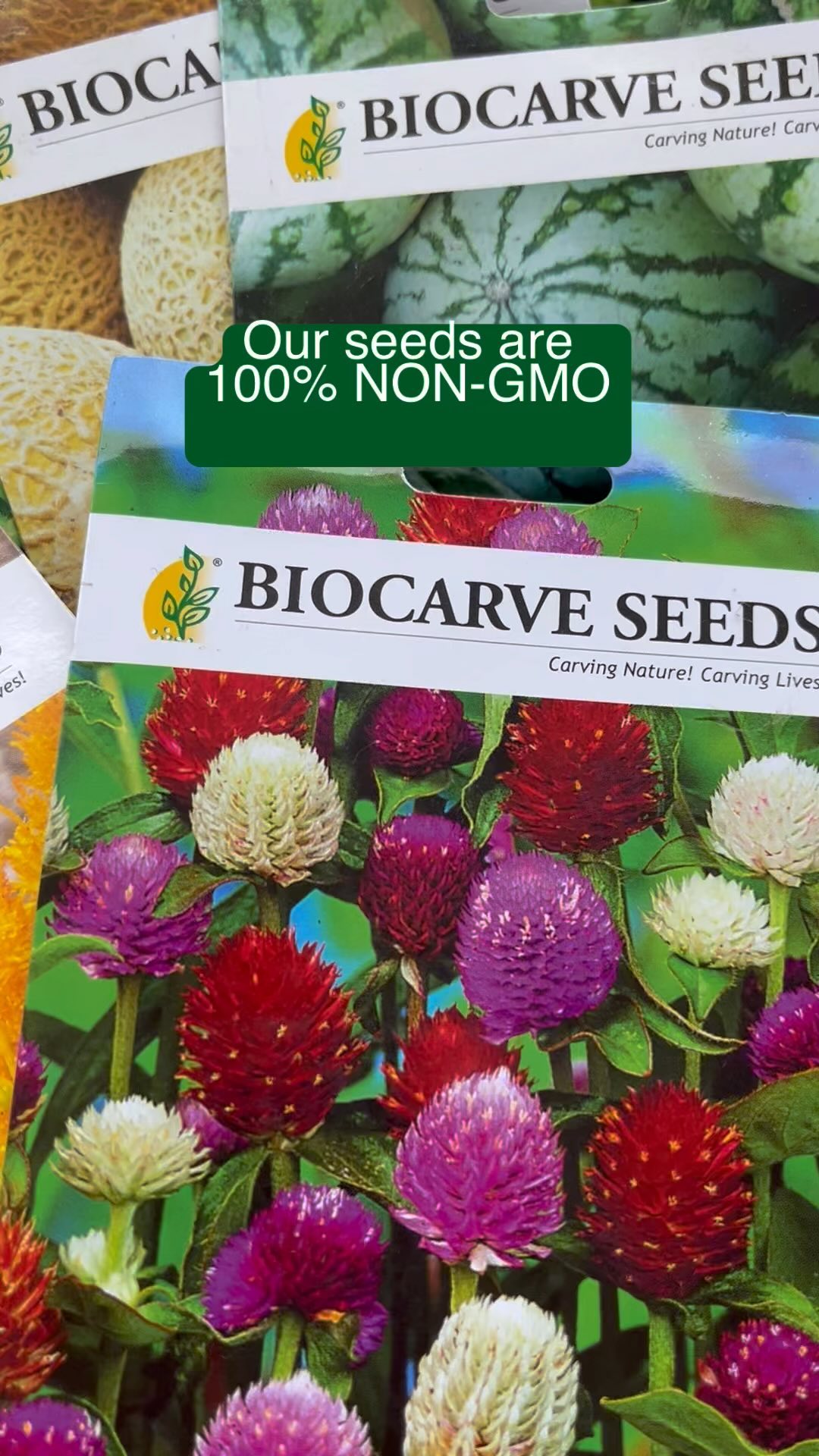 Why Biocarve Seeds?
We provide non-GMO seeds, nicely cleaned and carefully packed; quality seeds for you to experience the best of gardening.
You can trust us, always!
#biocarveseeds #qualityseeds #vegetableseeds #fruitseeds #flowerseeds #herbseeds #happygardening #healthyseeds #gardeninghobby