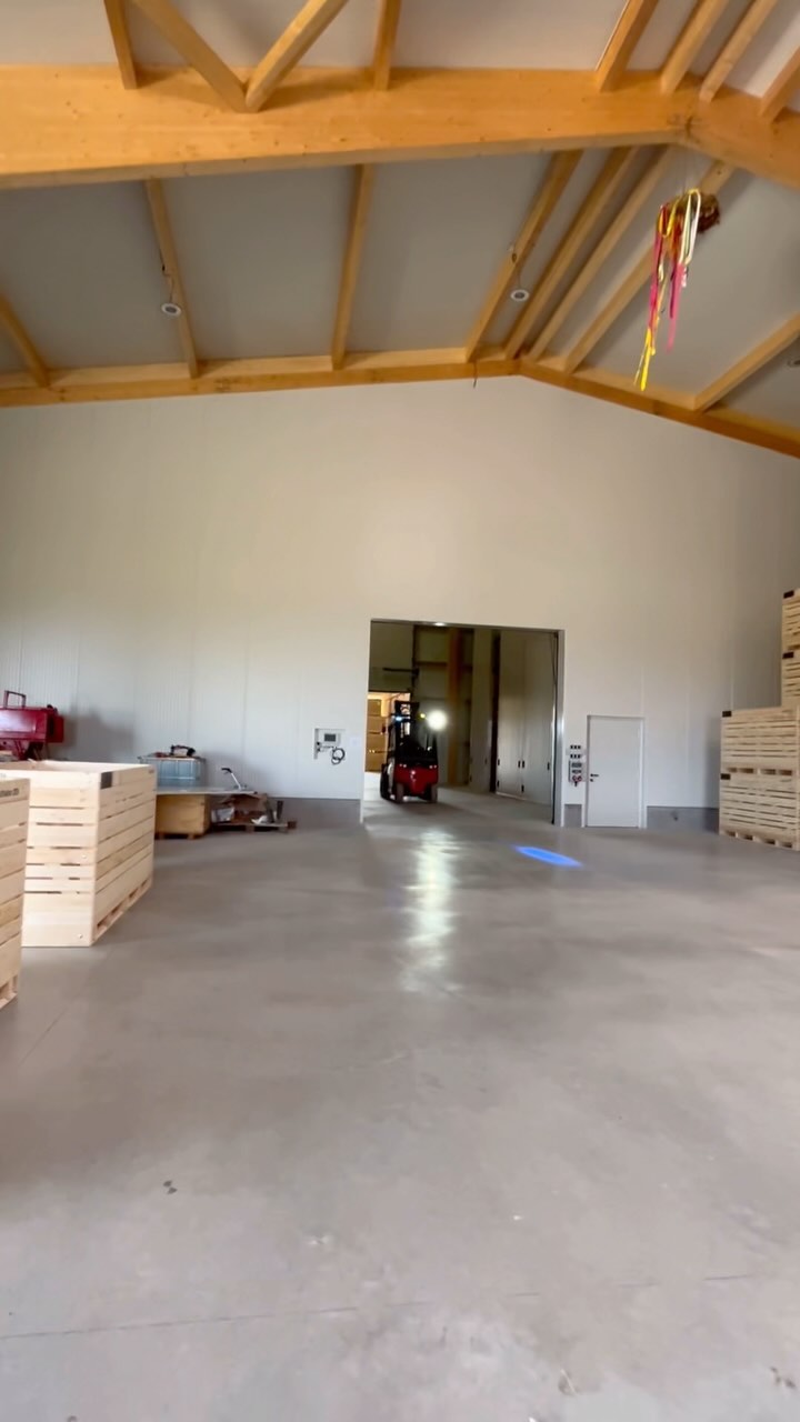 Let‘s get started: Die Kartoffelernte 2024 hat begonnen und die allerersten Kartoffeln werden in die neue Kartoffelhalle eingelagert! #wirhabenbock #kartoffelernte